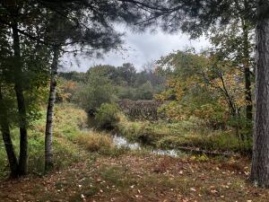 Lunch Creek home for sale at W2212  Pine Rd in Crystal Lake Wisconsin