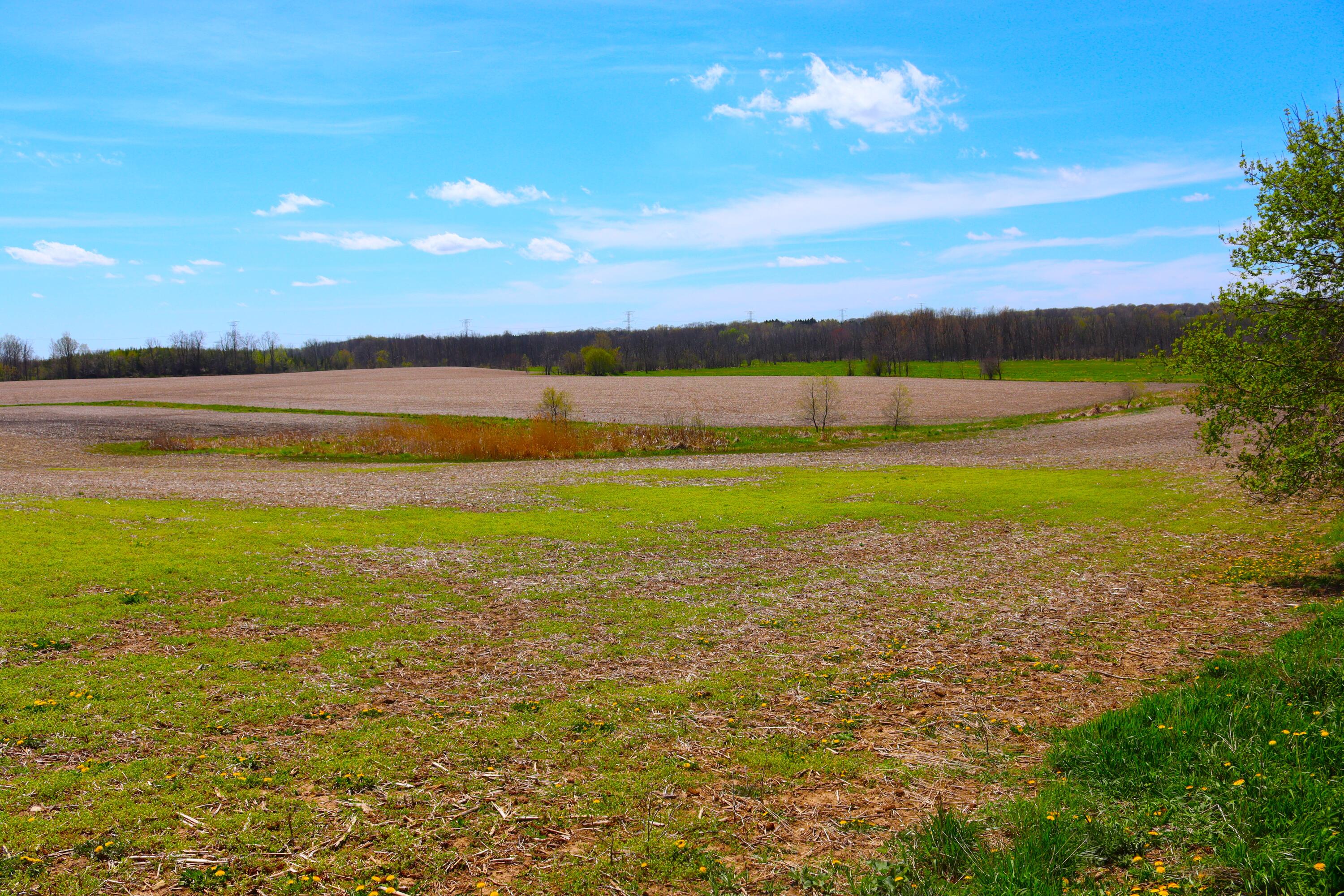 Wisconsin Lake Home for sale (MLS#: 1875340) at 2803  Orchard Ln, in Saukville, Wisconsin. (57 of 93)