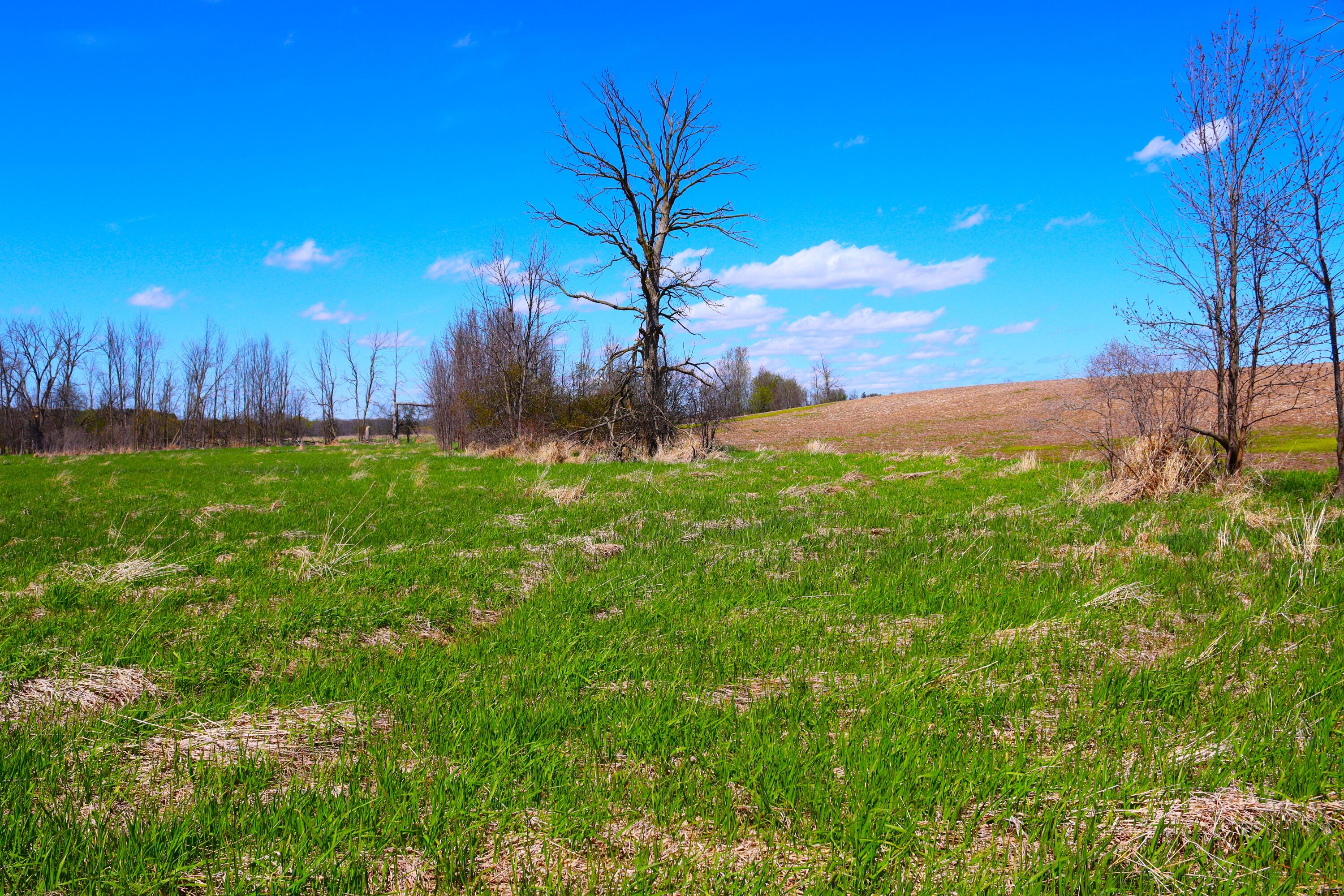 Wisconsin Lake Home for sale (MLS#: 1875340) at 2803  Orchard Ln, in Saukville, Wisconsin. (70 of 93)