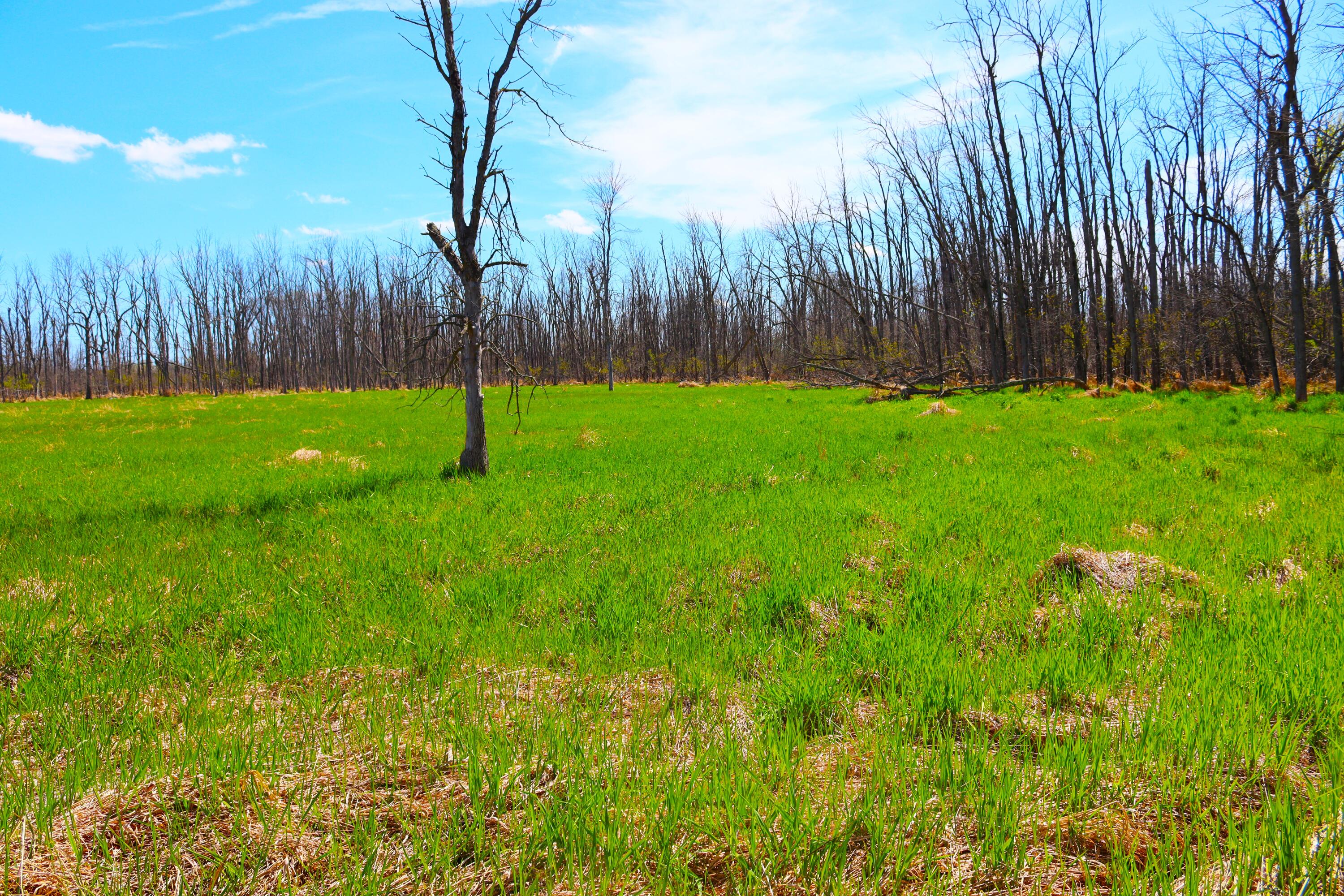 Wisconsin Lake Home for sale (MLS#: 1875340) at 2803  Orchard Ln, in Saukville, Wisconsin. (78 of 93)