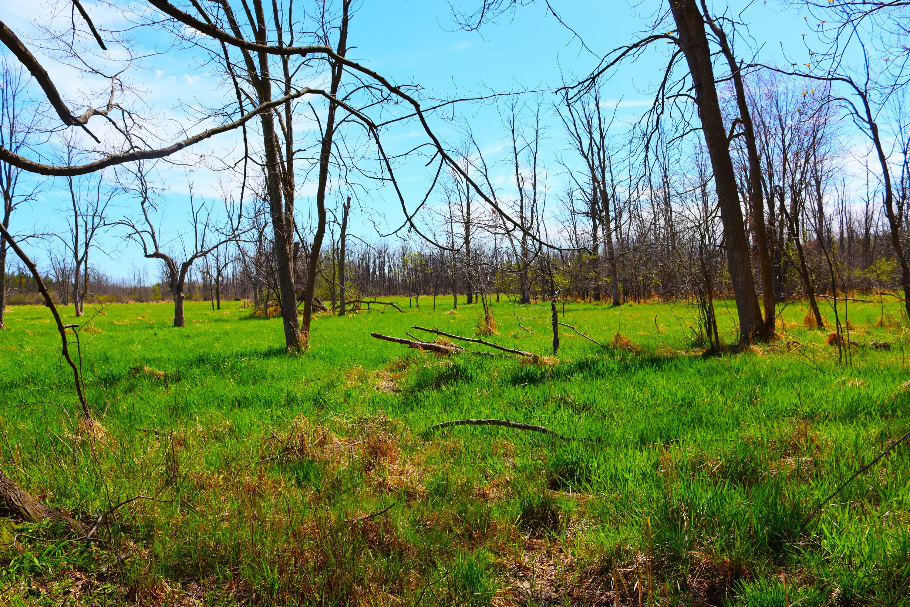 Wisconsin Lake Home for sale (MLS#: 1875340) at 2803  Orchard Ln, in Saukville, Wisconsin. (81 of 93)