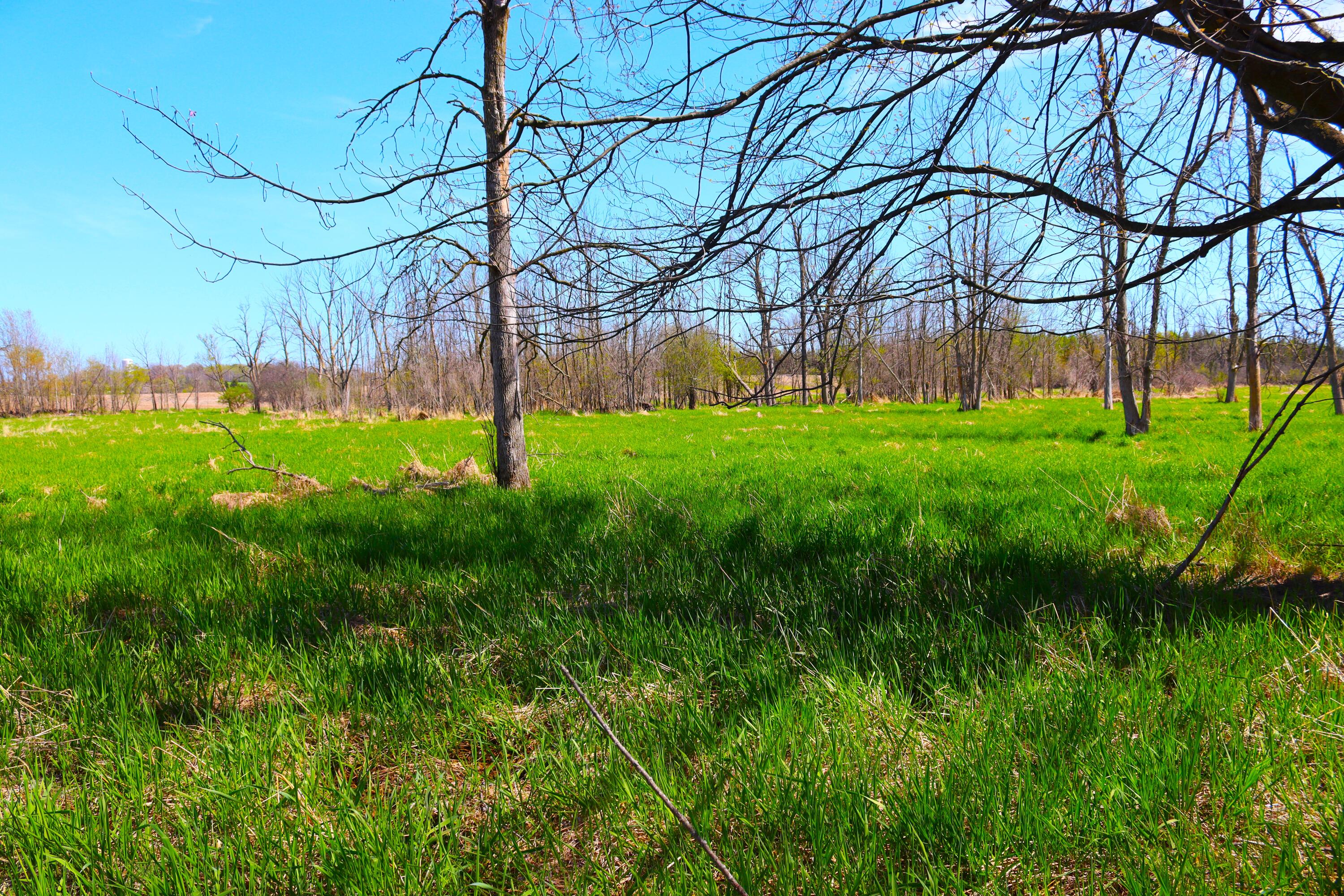 Wisconsin Lake Home for sale (MLS#: 1875340) at 2803  Orchard Ln, in Saukville, Wisconsin. (83 of 93)