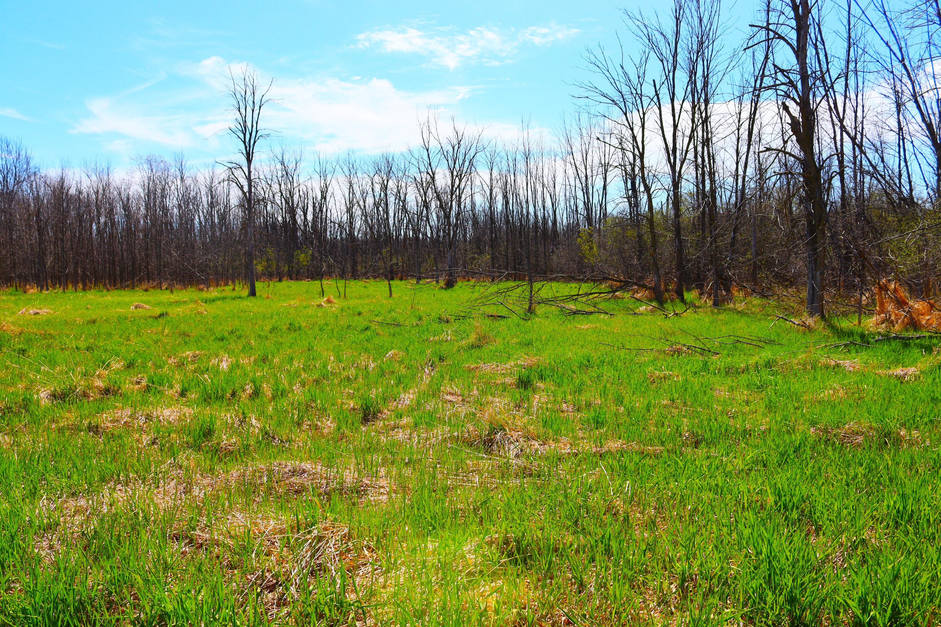 Wisconsin Lake Home for sale (MLS#: 1875340) at 2803  Orchard Ln, in Saukville, Wisconsin. (88 of 93)