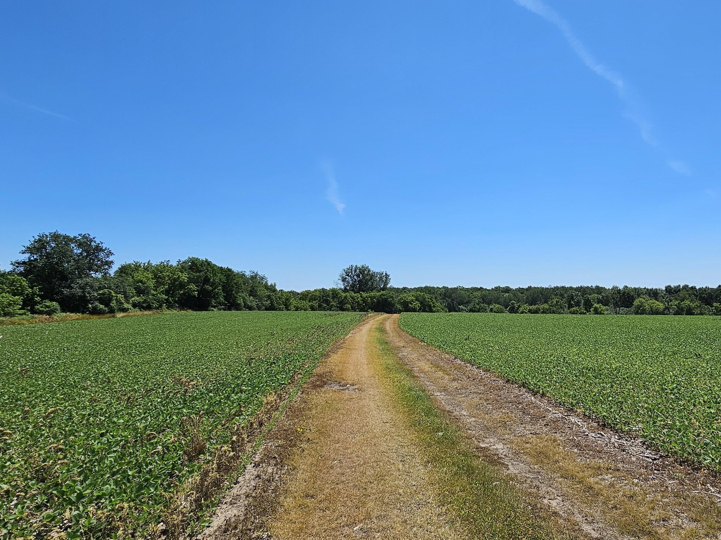 Wisconsin Lake Home for sale (MLS#: 1881339) at W240S10240  Castle Rd, in Vernon, Wisconsin. (13 of 34)