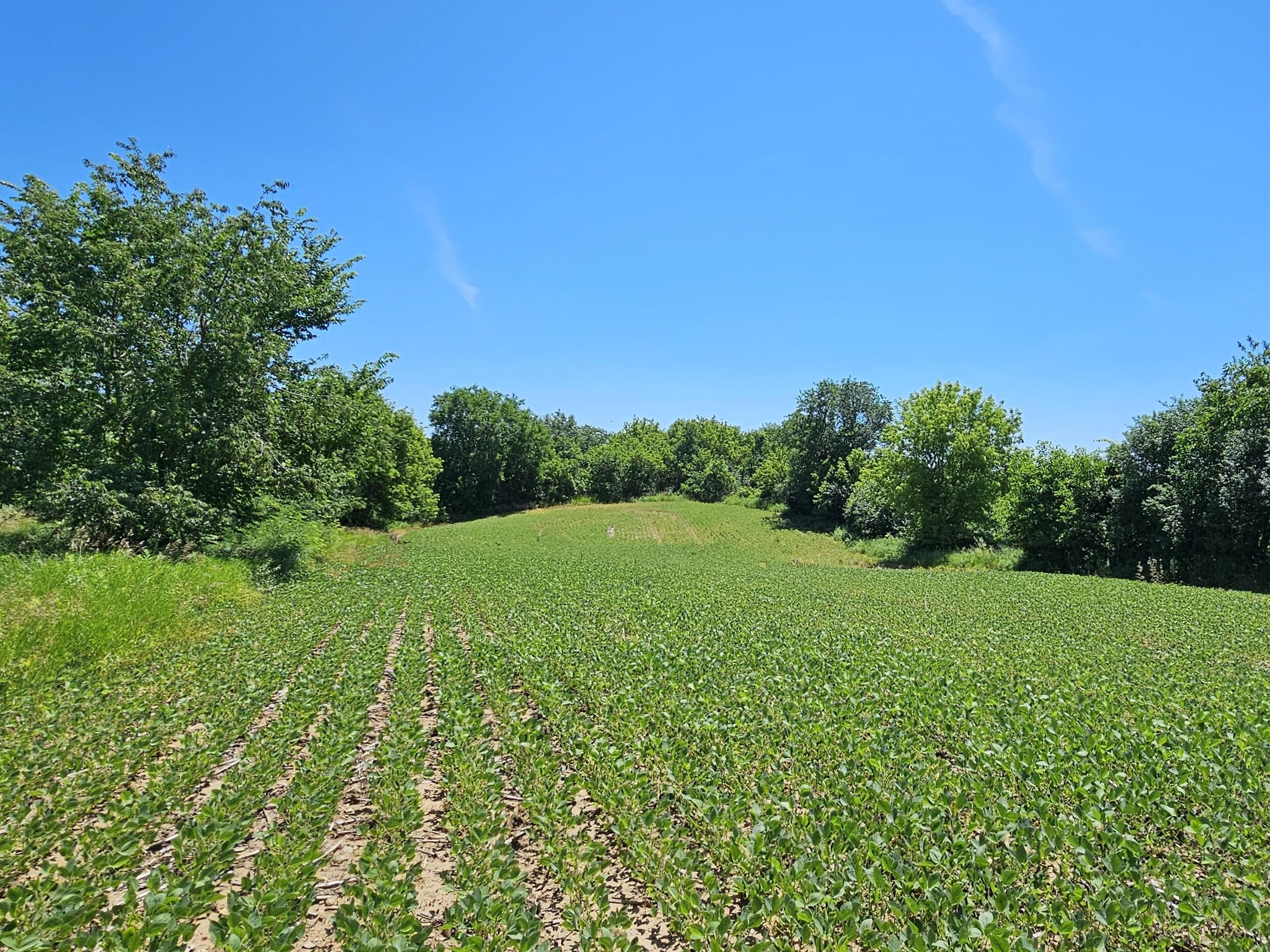 Wisconsin Lake Home for sale (MLS#: 1881339) at W240S10240  Castle Rd, in Vernon, Wisconsin. (10 of 34)