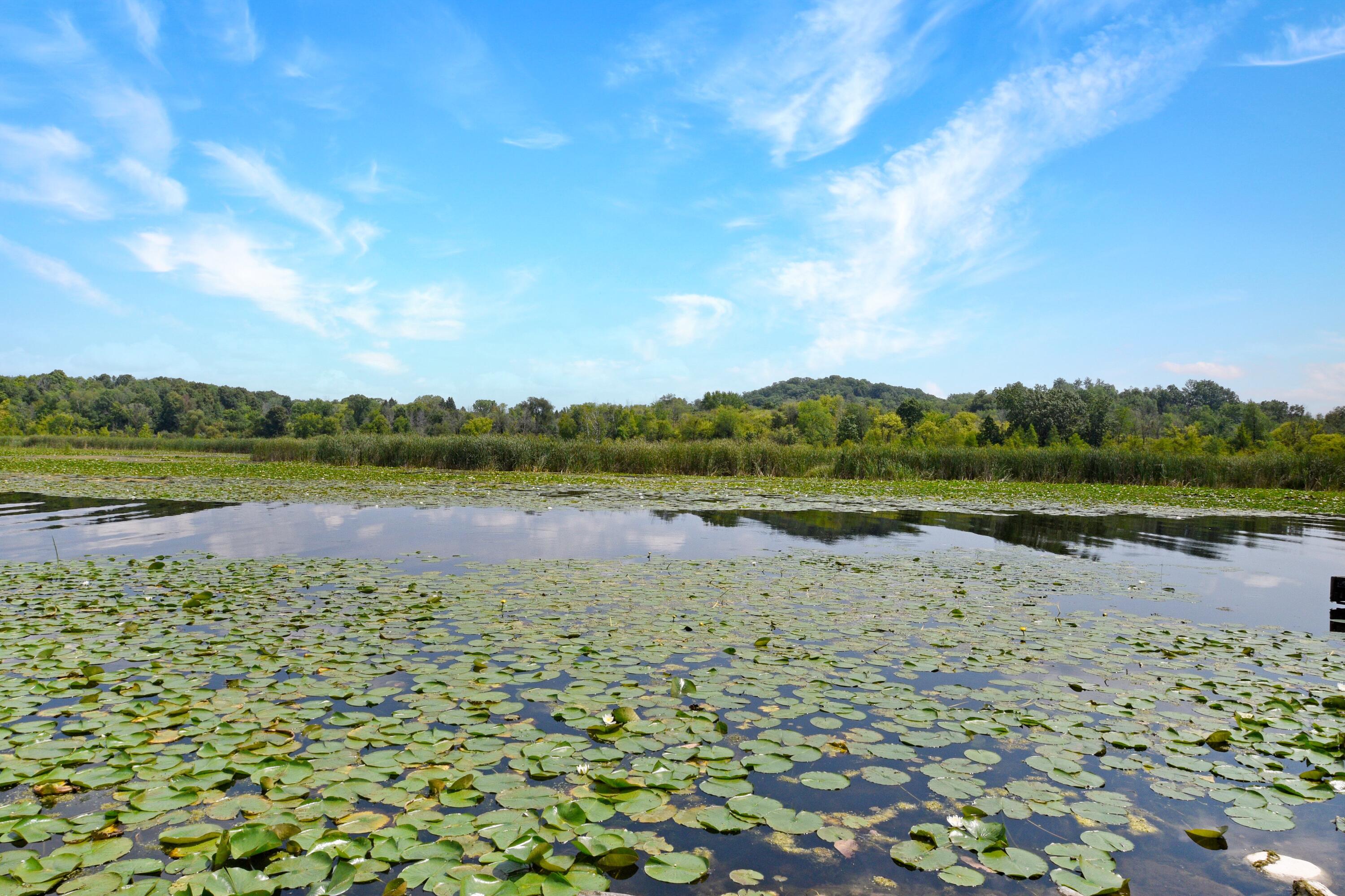 Wisconsin Lake Home for sale (MLS#: 1886431) at N3255  State Road 67 -, in Osceola, Wisconsin. (25 of 30)