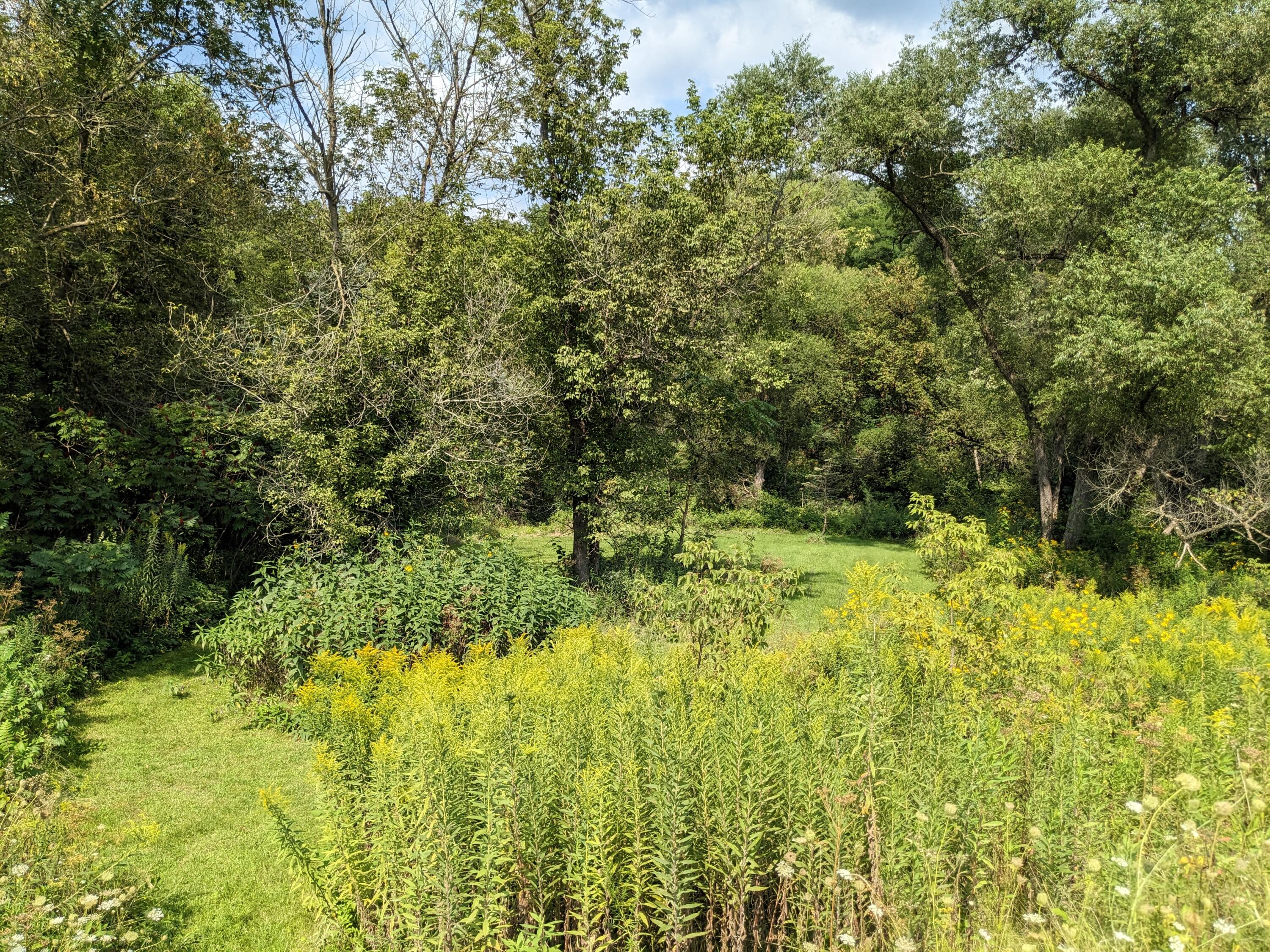 Wisconsin Lake Home for sale (MLS#: 1889133) at E2584  Bohland Hollow Rd, in Wheatland, Wisconsin. (38 of 59)