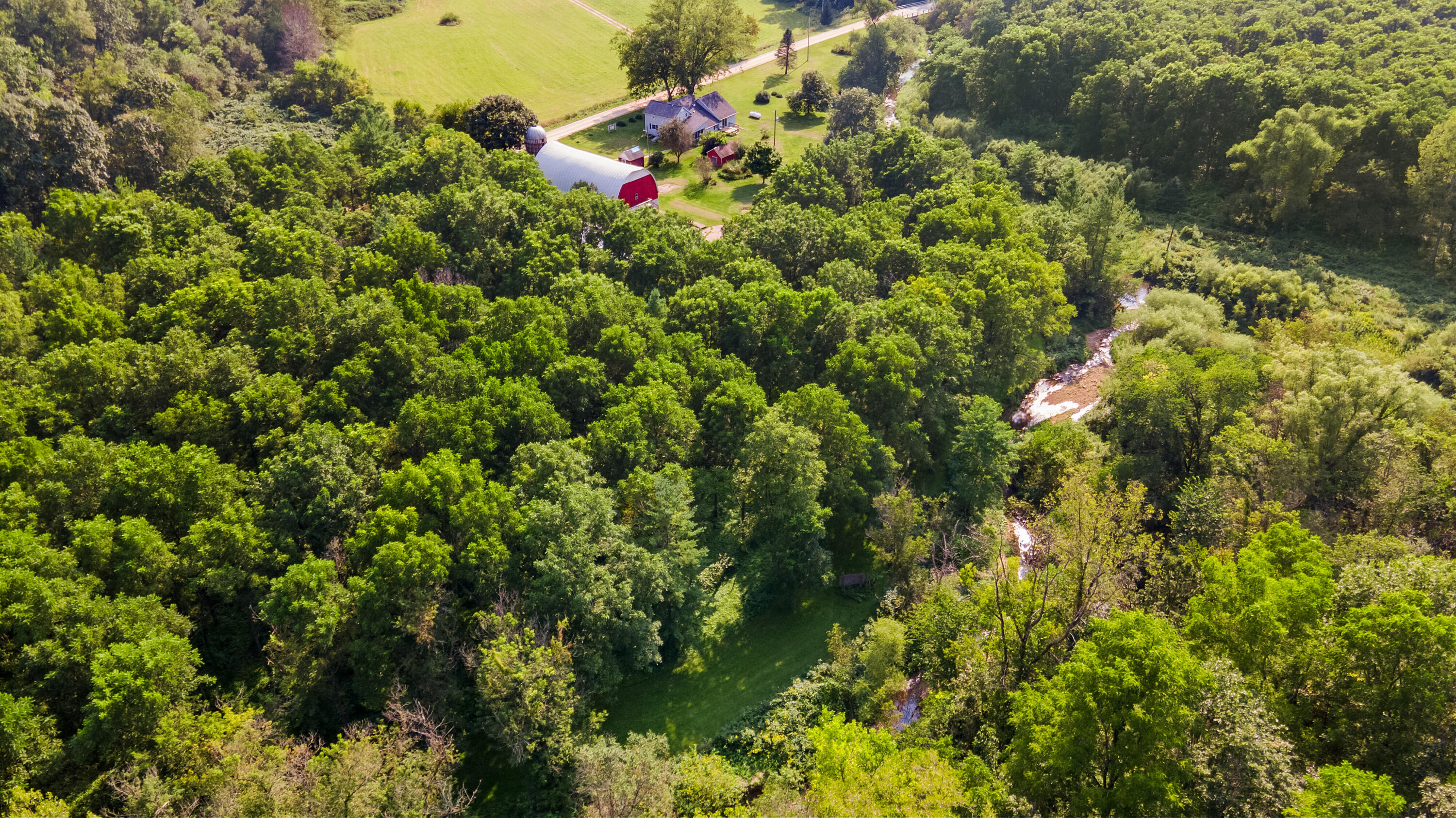 Wisconsin Lake Home for sale (MLS#: 1889133) at E2584  Bohland Hollow Rd, in Wheatland, Wisconsin. (50 of 59)