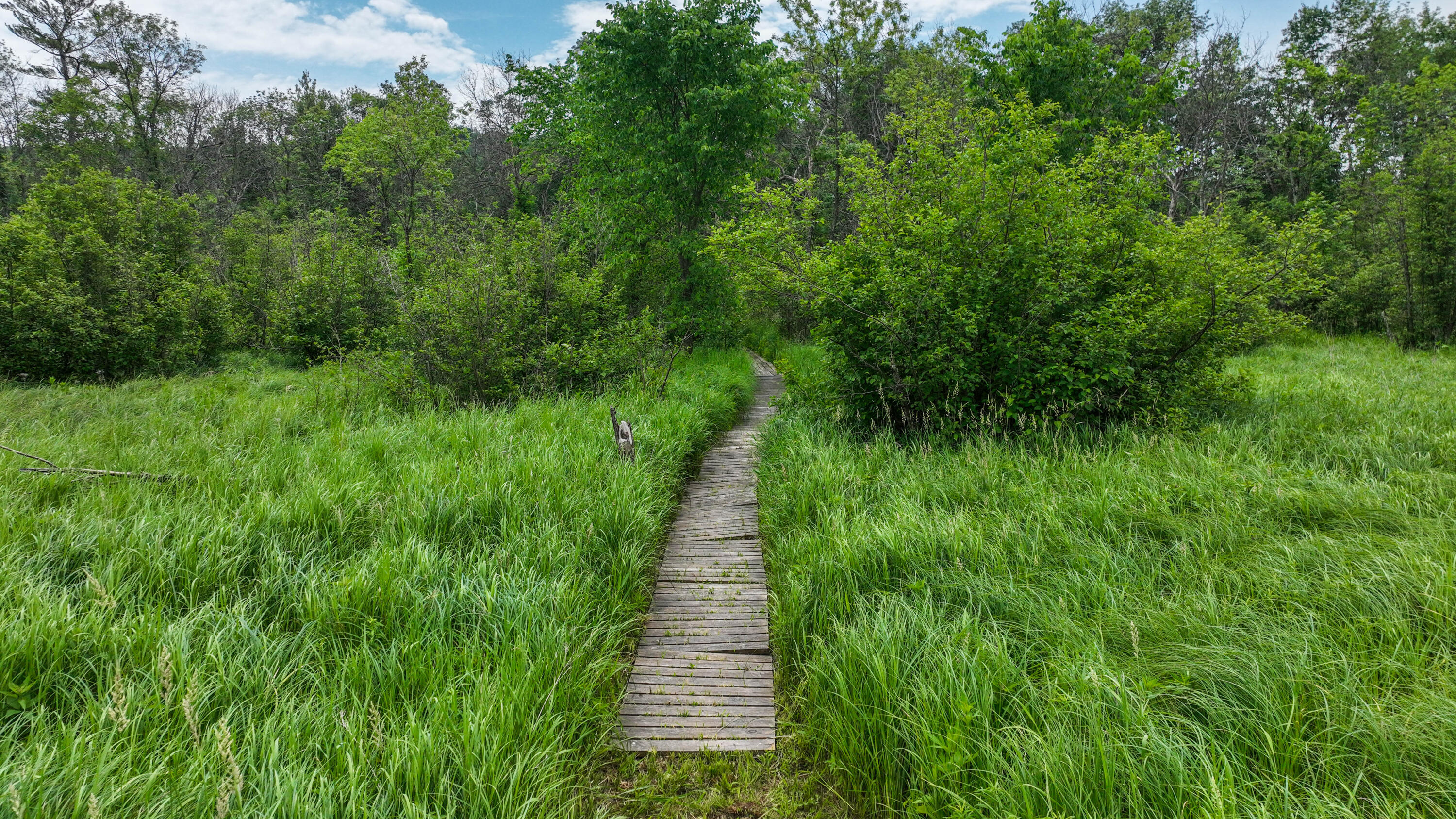 Wisconsin Lake Home for sale (MLS#: 1889143) at E1288  Frontage Rd, in Farmington, Wisconsin. (16 of 72)