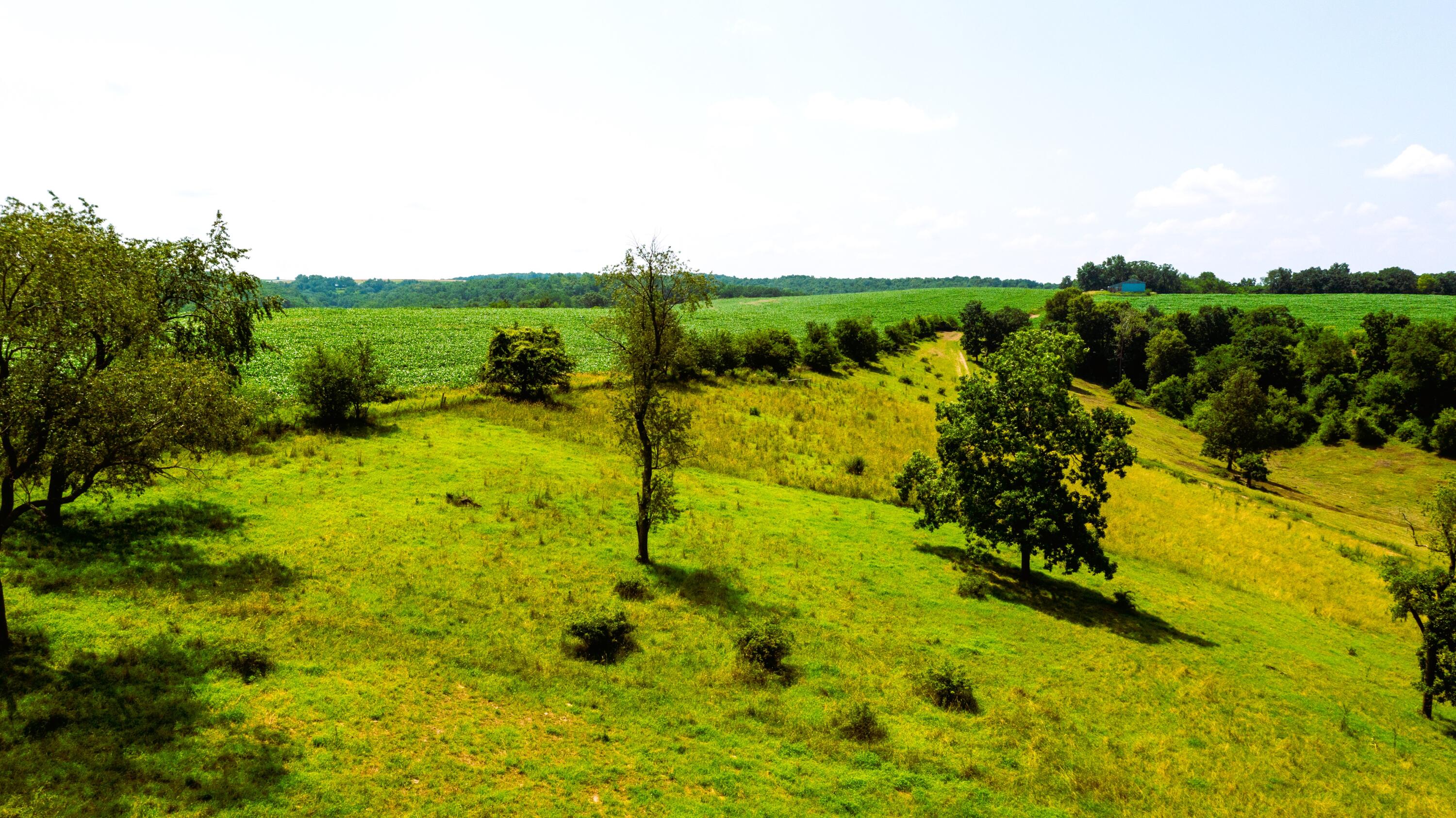 Wisconsin Lake Home for sale (MLS#: 1889357) at 6005  Green River Rd, in Mount Ida, Wisconsin. (17 of 89)