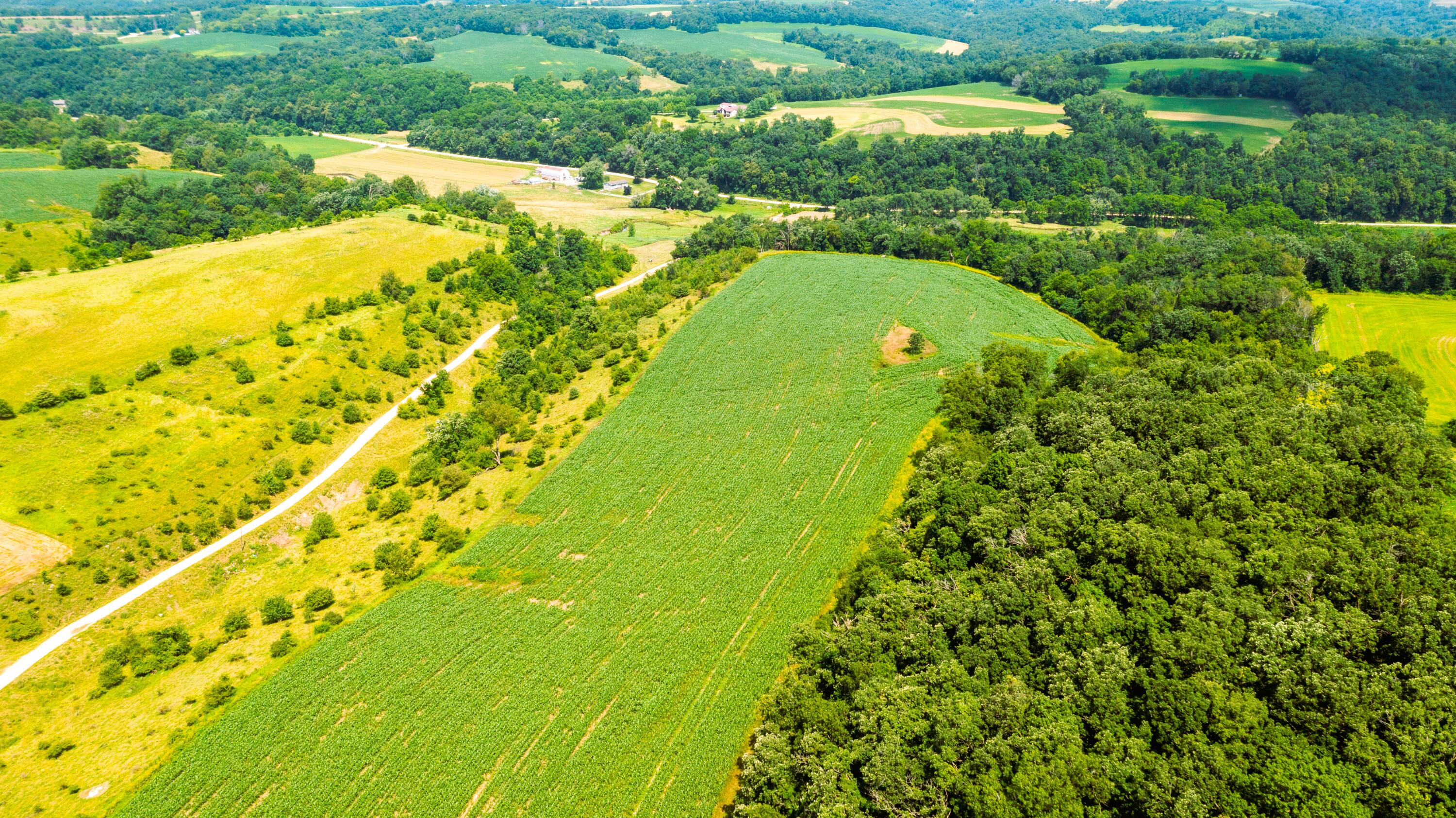 Wisconsin Lake Home for sale (MLS#: 1889357) at 6005  Green River Rd, in Mount Ida, Wisconsin. (20 of 89)