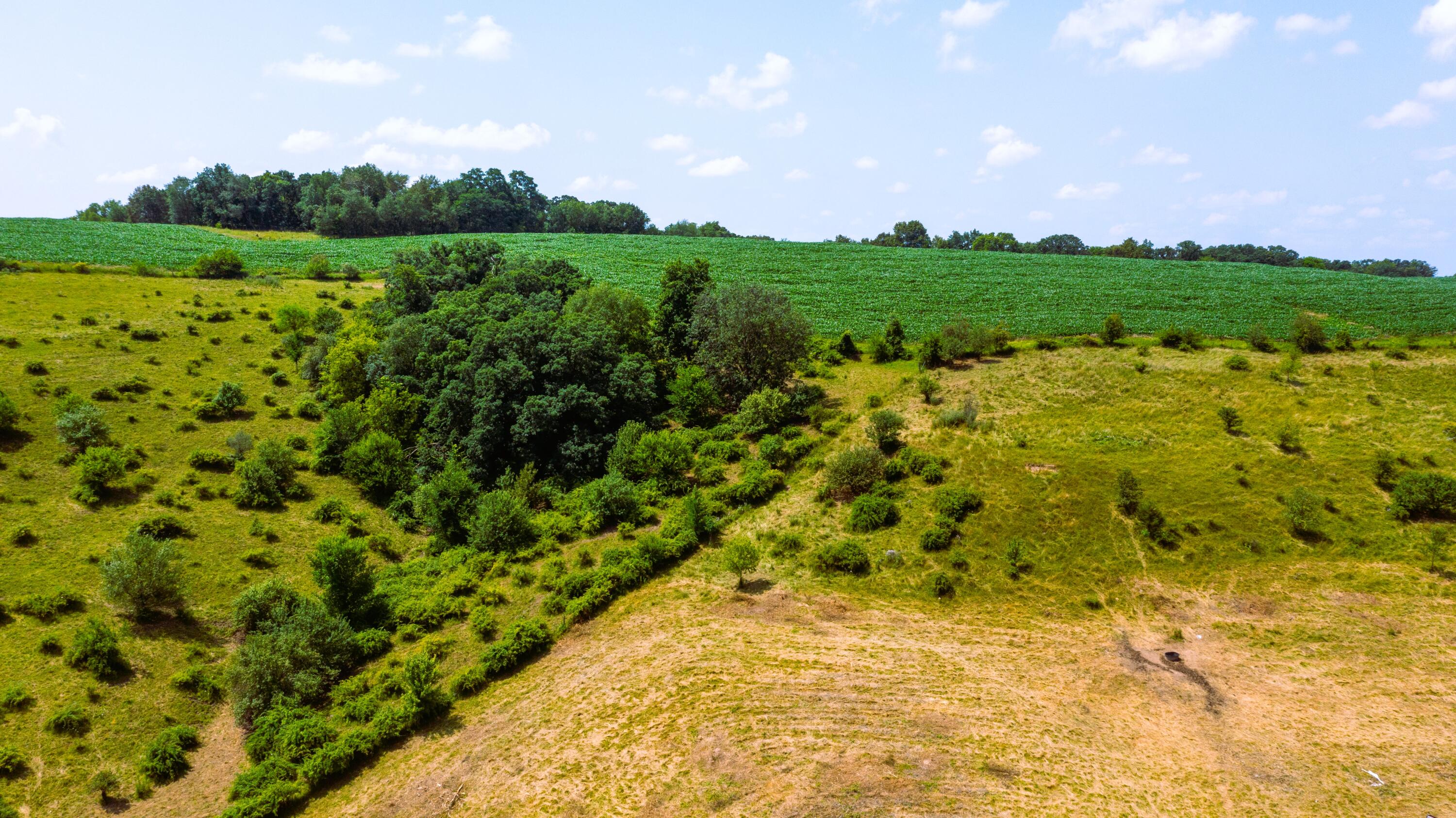 Wisconsin Lake Home for sale (MLS#: 1889357) at 6005  Green River Rd, in Mount Ida, Wisconsin. (28 of 89)