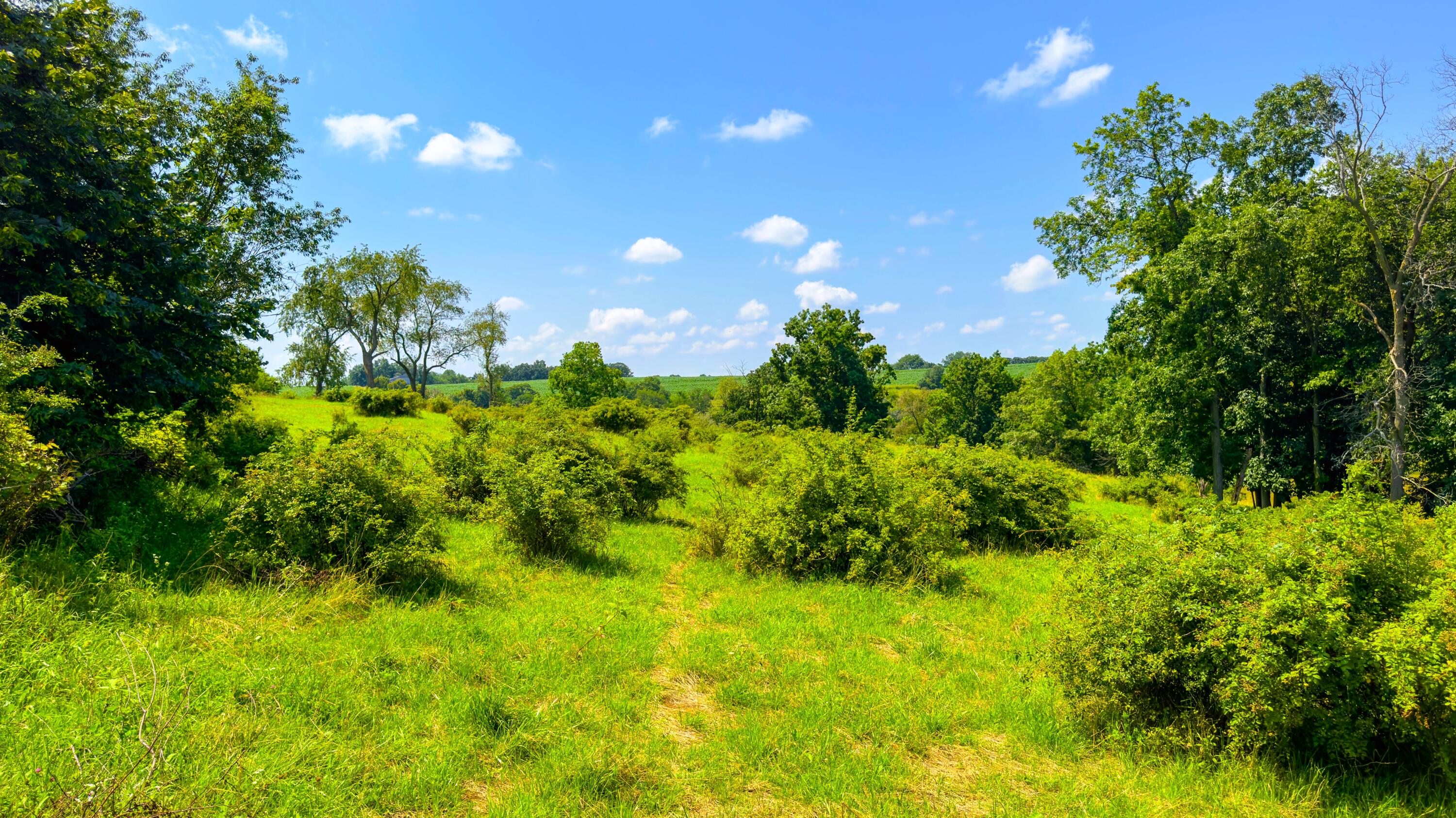 Wisconsin Lake Home for sale (MLS#: 1889357) at 6005  Green River Rd, in Mount Ida, Wisconsin. (29 of 89)