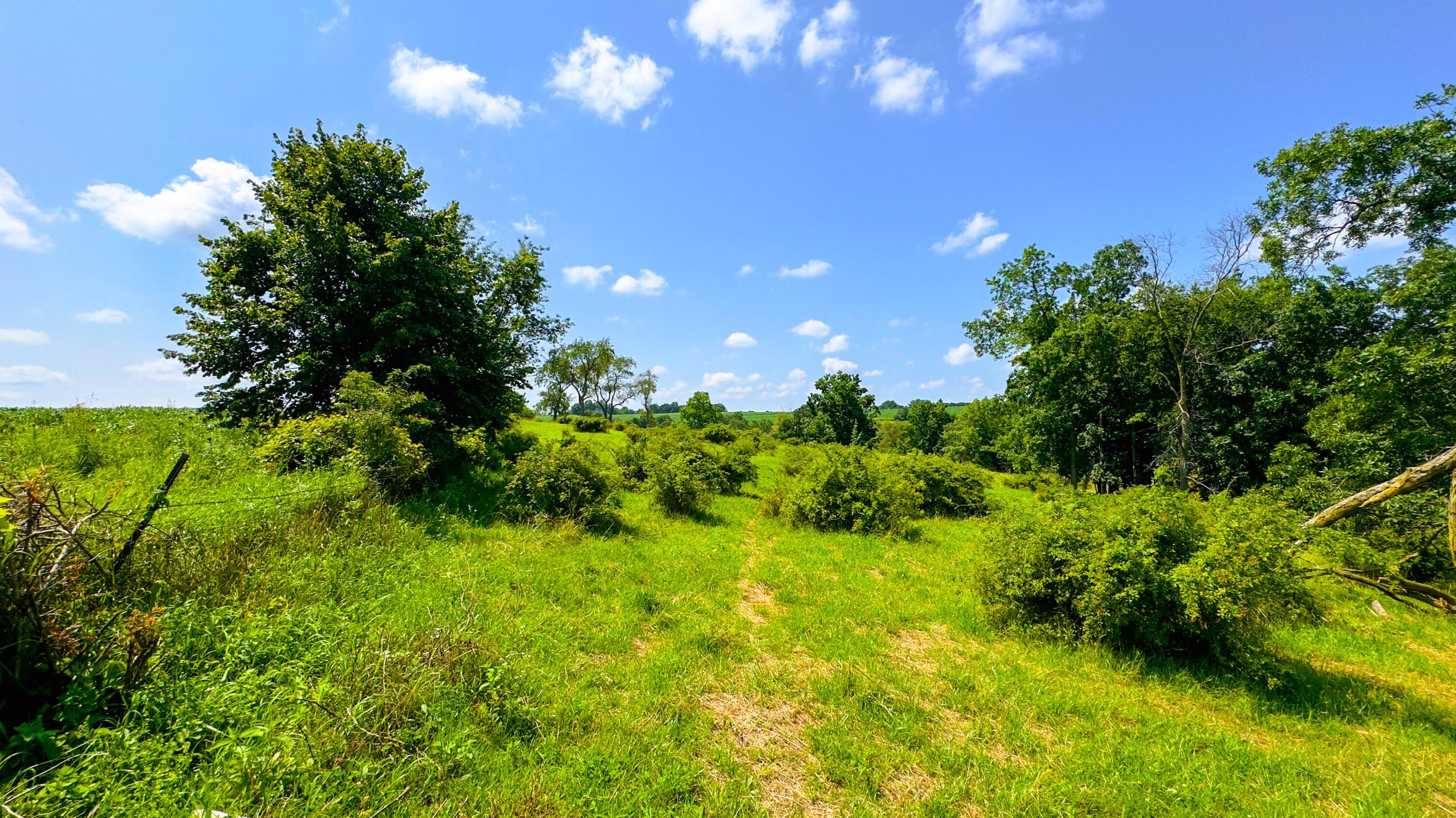 Wisconsin Lake Home for sale (MLS#: 1889357) at 6005  Green River Rd, in Mount Ida, Wisconsin. (30 of 89)