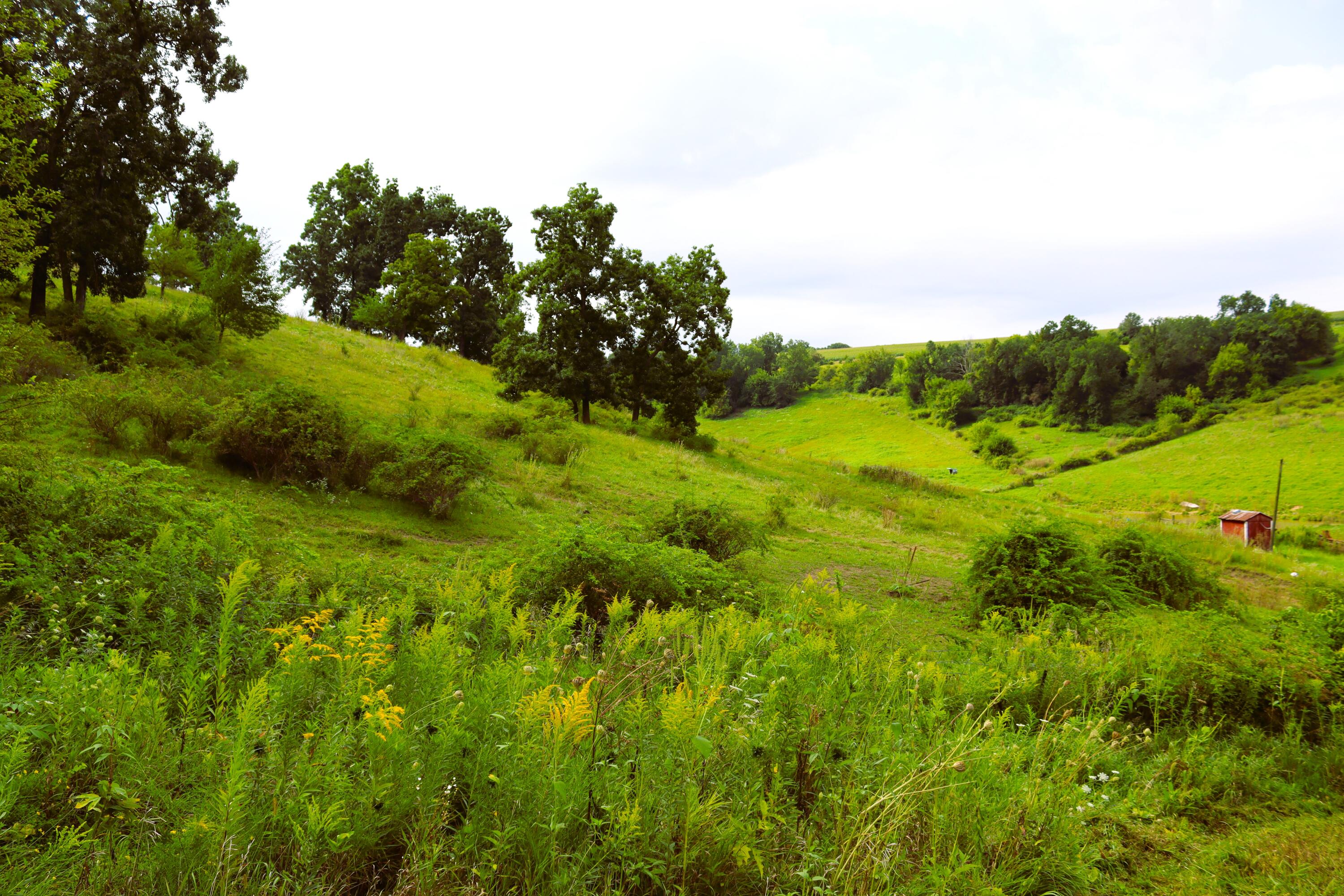 Wisconsin Lake Home for sale (MLS#: 1889357) at 6005  Green River Rd, in Mount Ida, Wisconsin. (41 of 89)