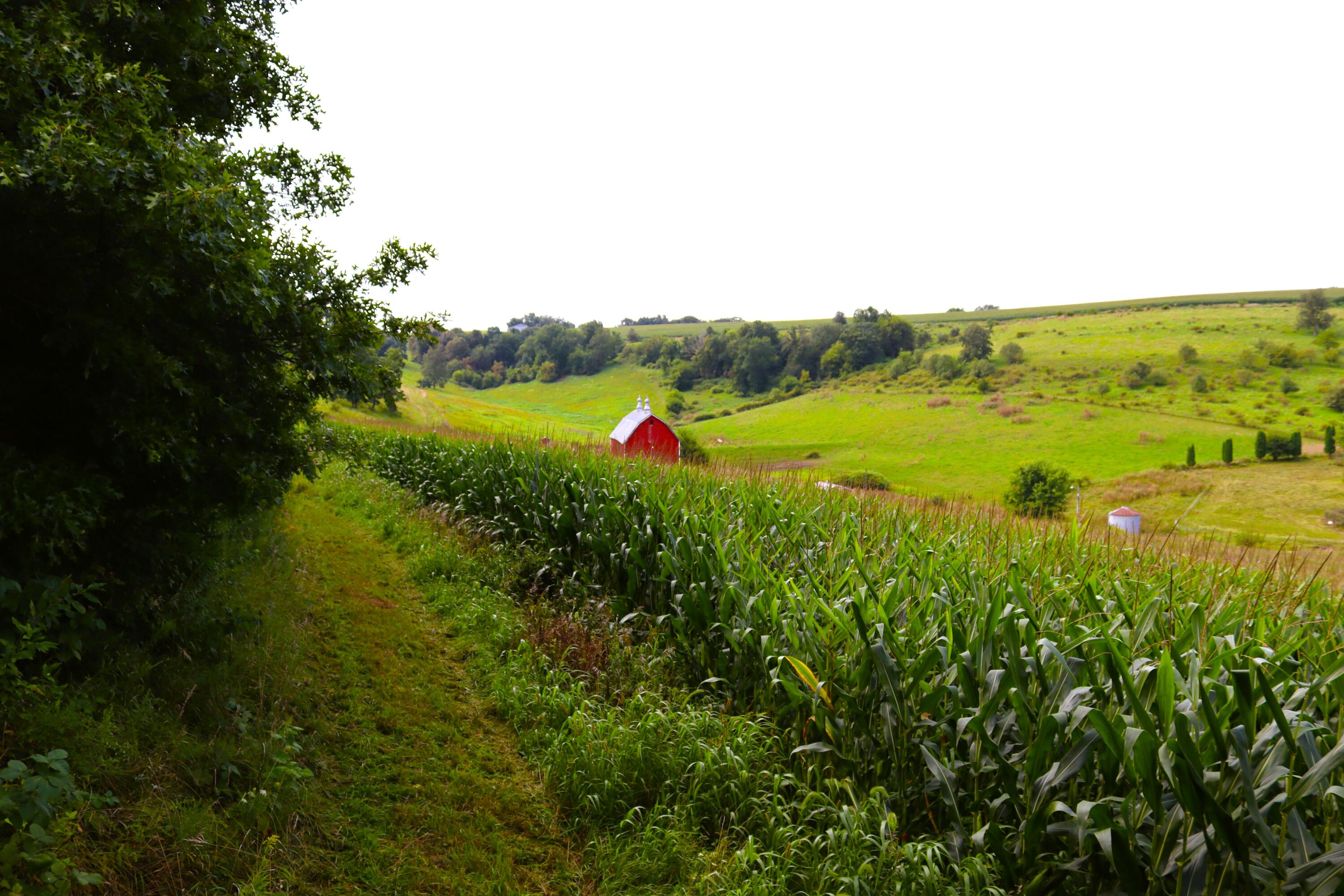 Wisconsin Lake Home for sale (MLS#: 1889357) at 6005  Green River Rd, in Mount Ida, Wisconsin. (47 of 89)