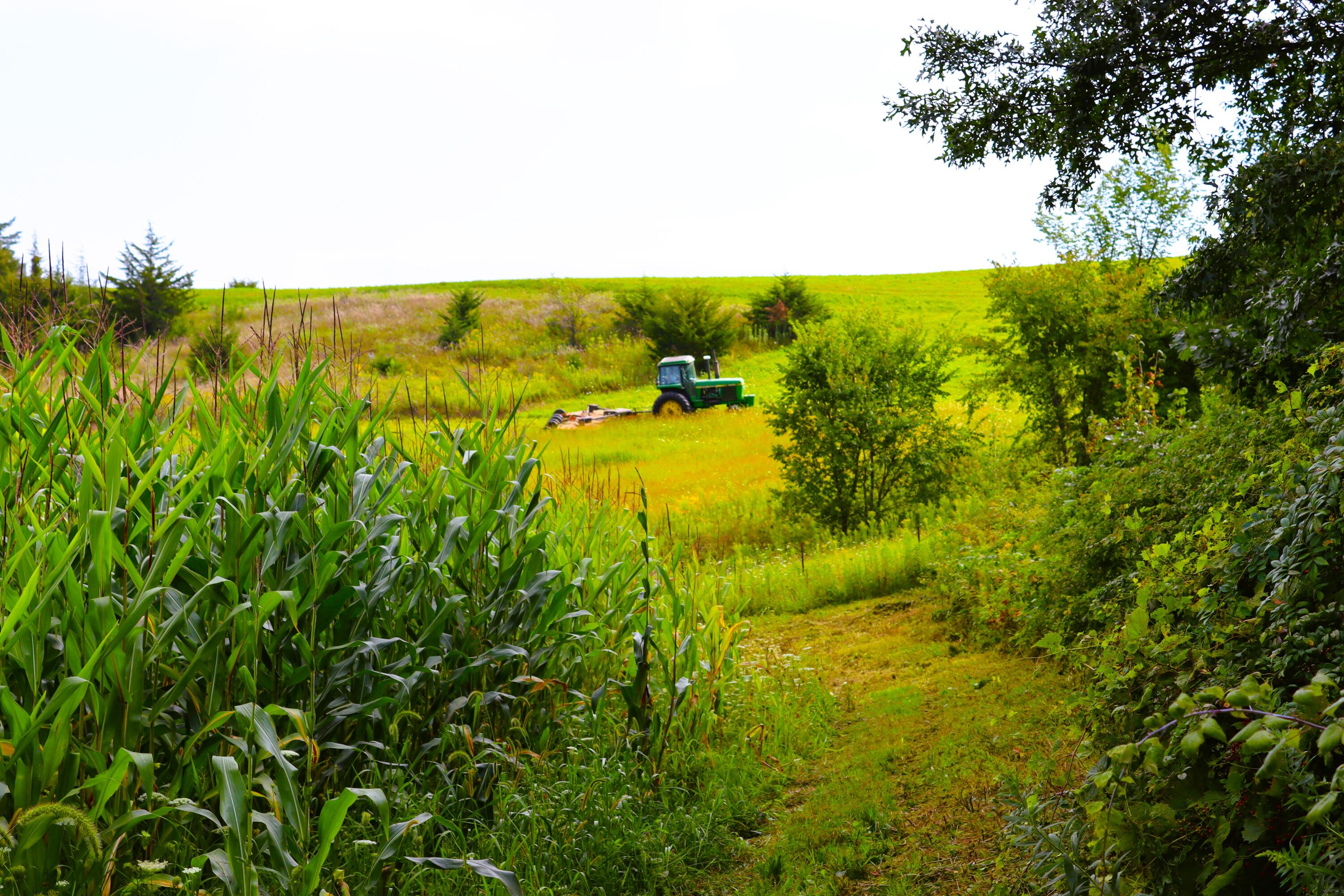 Wisconsin Lake Home for sale (MLS#: 1889357) at 6005  Green River Rd, in Mount Ida, Wisconsin. (54 of 89)