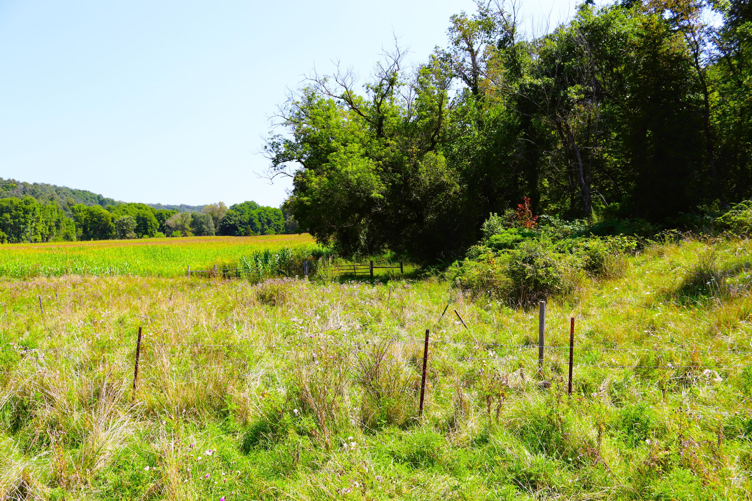 Wisconsin Lake Home for sale (MLS#: 1889357) at 6005  Green River Rd, in Mount Ida, Wisconsin. (59 of 89)