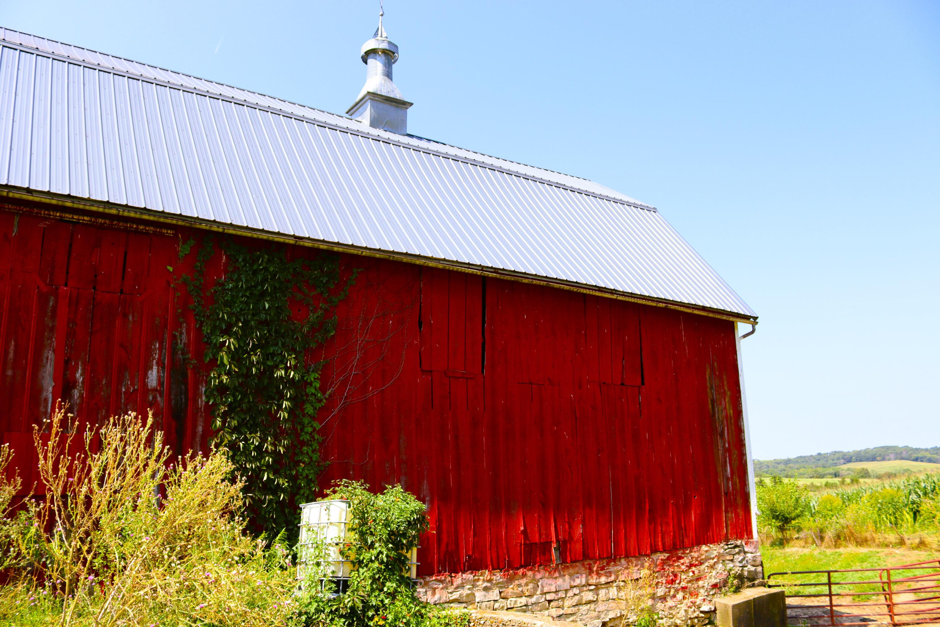 Wisconsin Lake Home for sale (MLS#: 1889357) at 6005  Green River Rd, in Mount Ida, Wisconsin. (63 of 89)