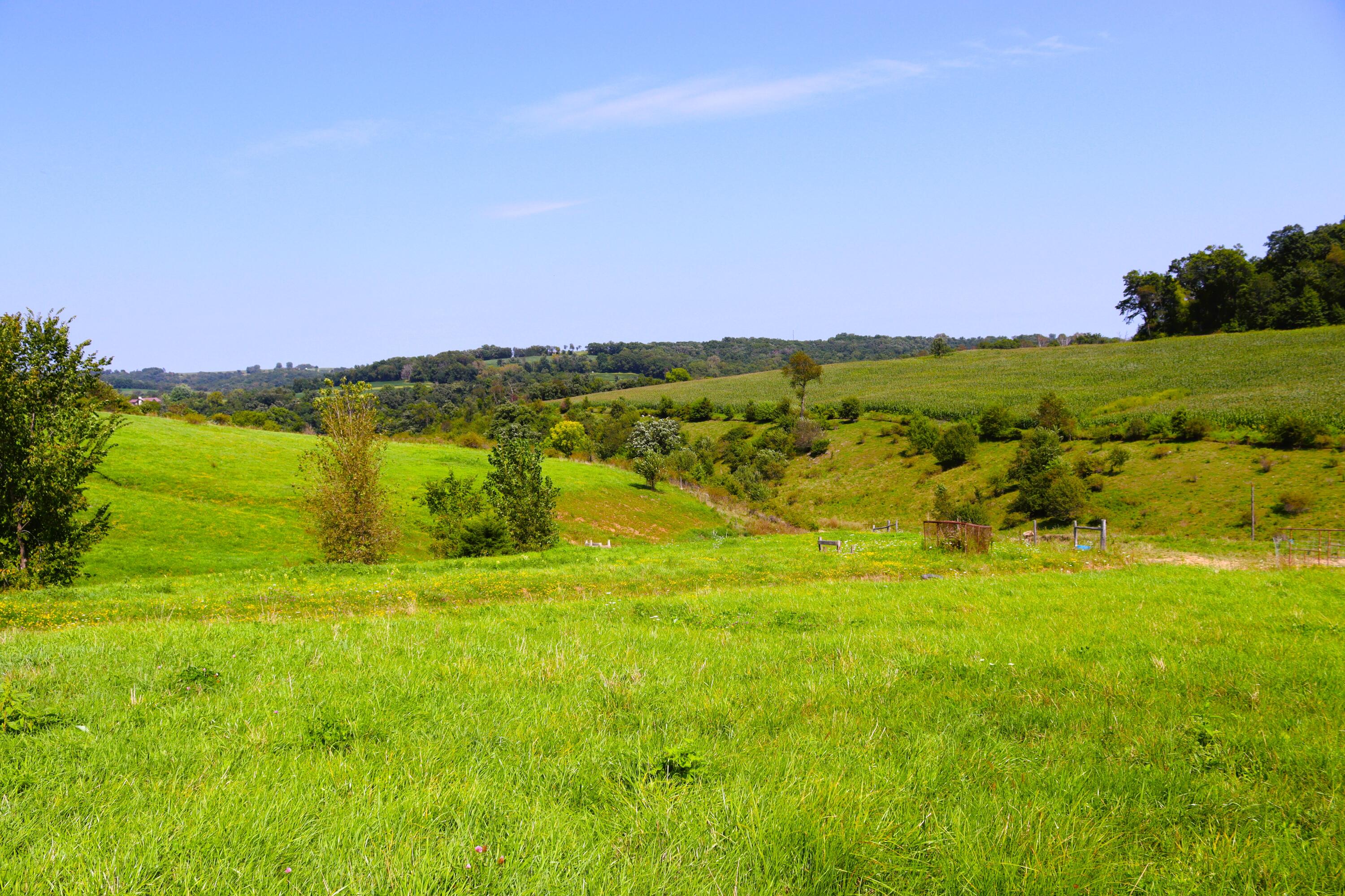 Wisconsin Lake Home for sale (MLS#: 1889357) at 6005  Green River Rd, in Mount Ida, Wisconsin. (66 of 89)