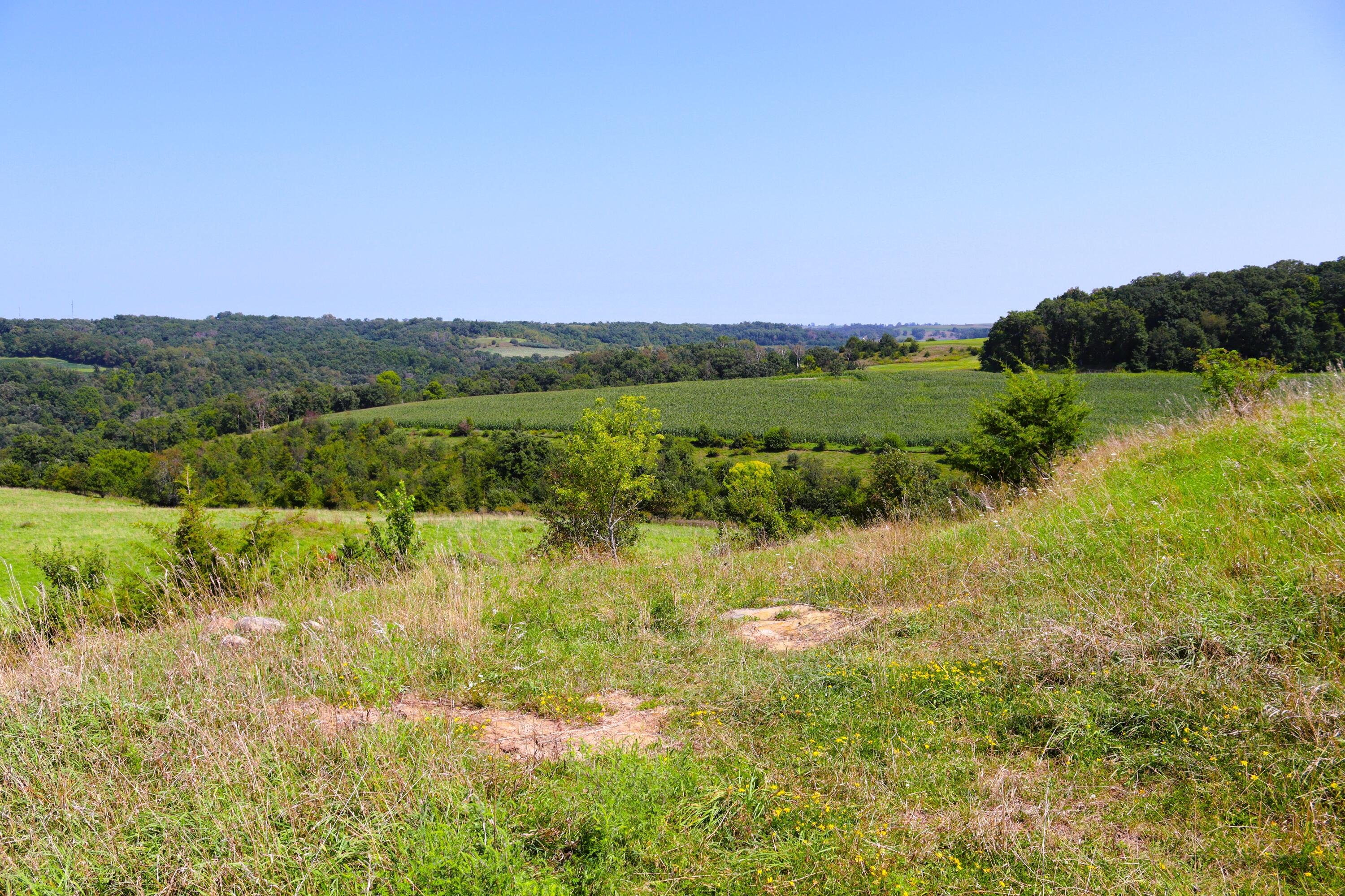 Wisconsin Lake Home for sale (MLS#: 1889357) at 6005  Green River Rd, in Mount Ida, Wisconsin. (72 of 89)