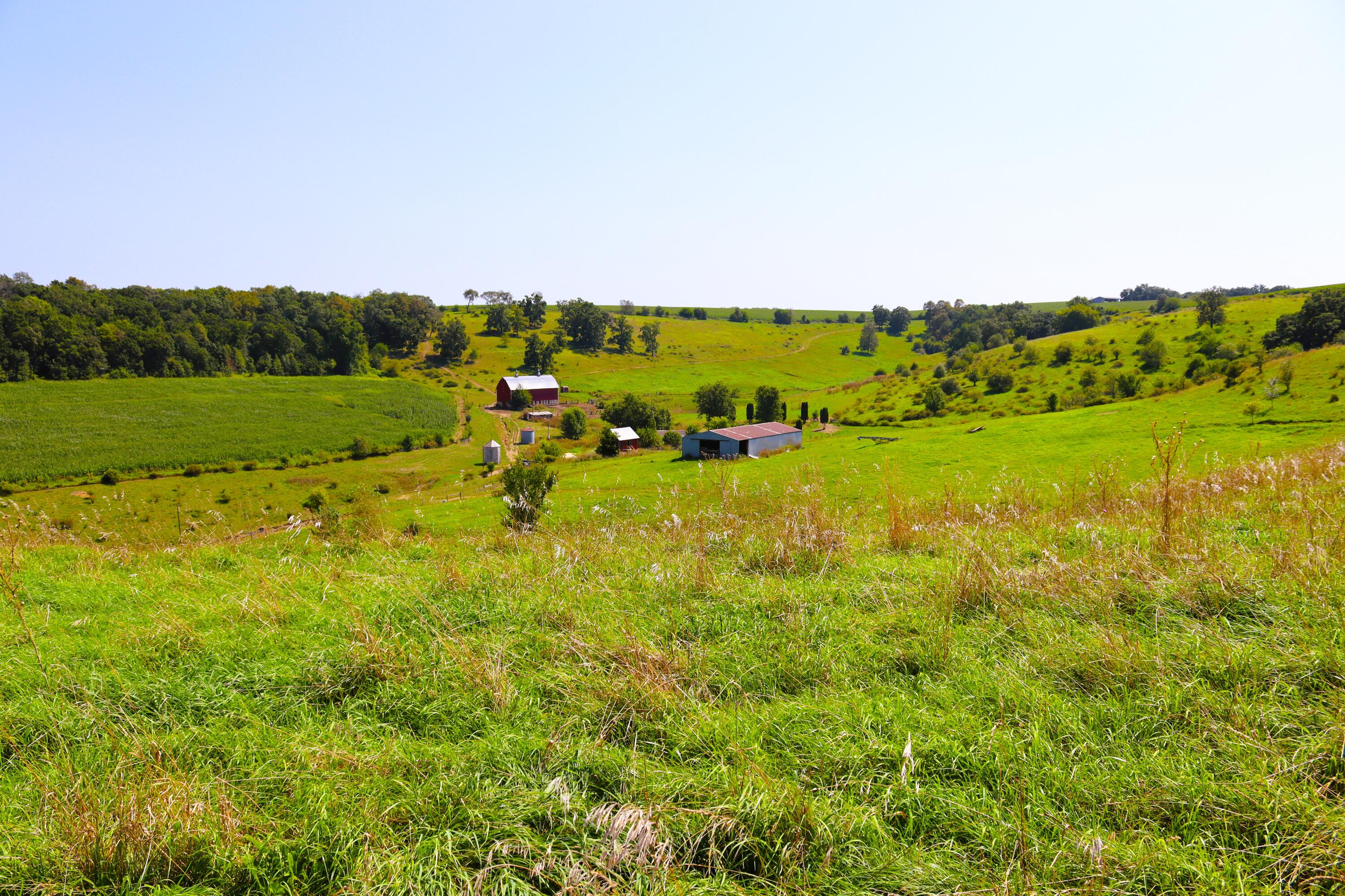 Wisconsin Lake Home for sale (MLS#: 1889357) at 6005  Green River Rd, in Mount Ida, Wisconsin. (74 of 89)