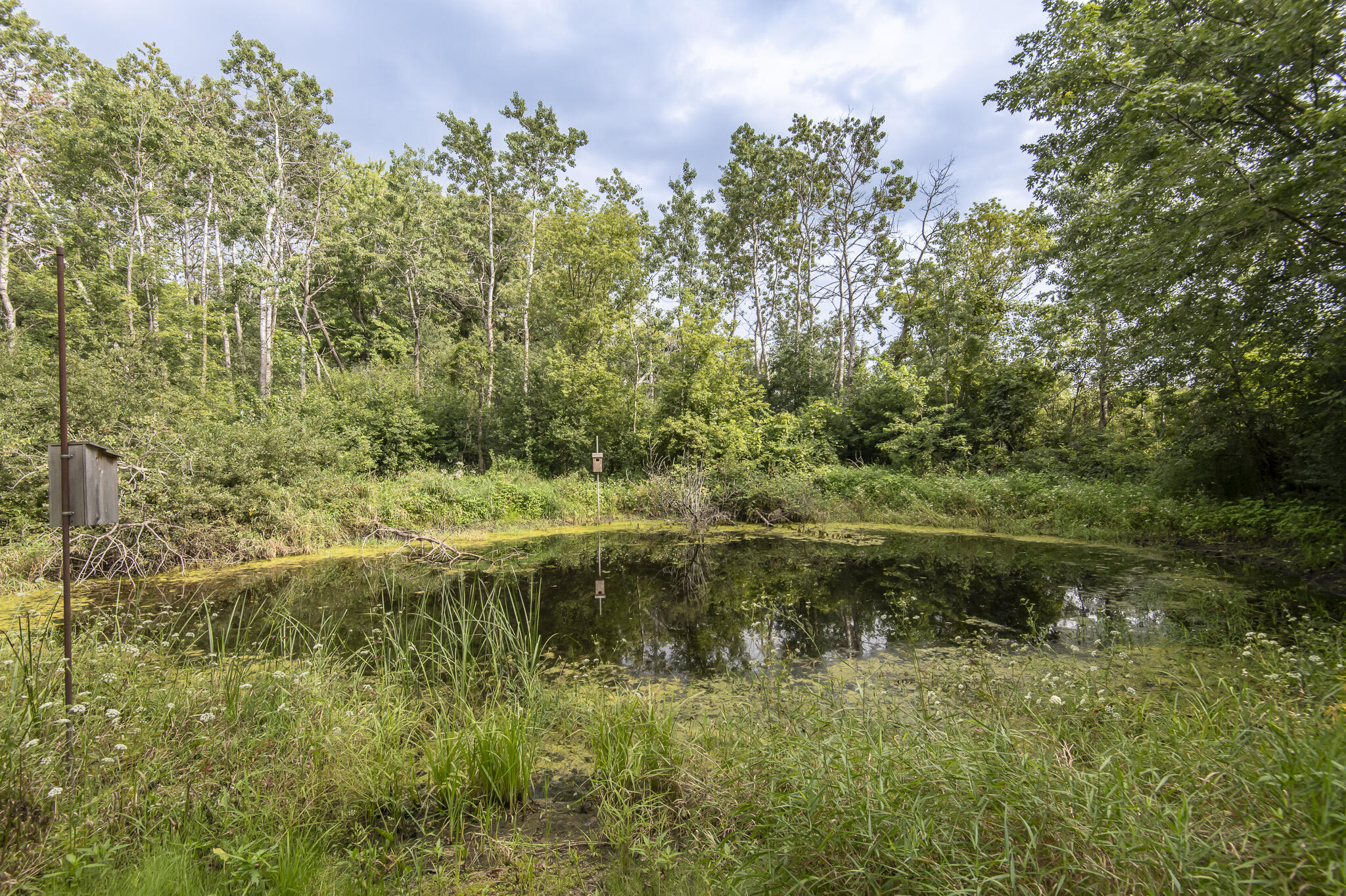 Wisconsin Lake Home for sale (MLS#: 1889537) at 4501  Sheard Rd, in Dover, Wisconsin. (37 of 46)