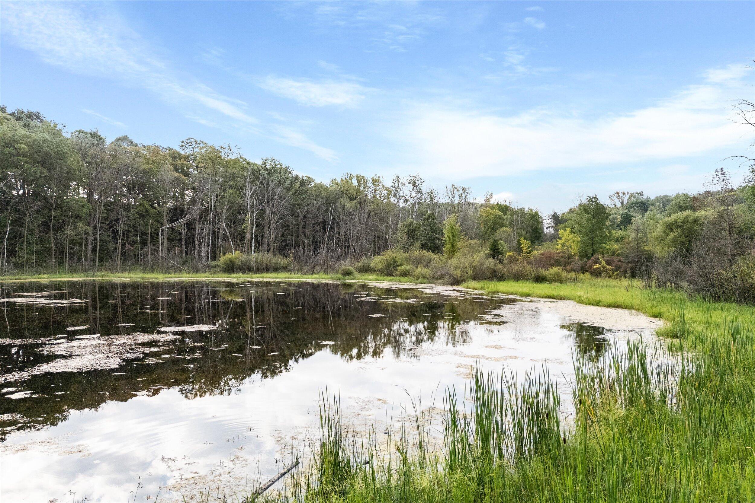 Wisconsin Lake Home for sale (MLS#: 1889538) at N8701  Snake Rd, in Rhine, Wisconsin. (46 of 55)