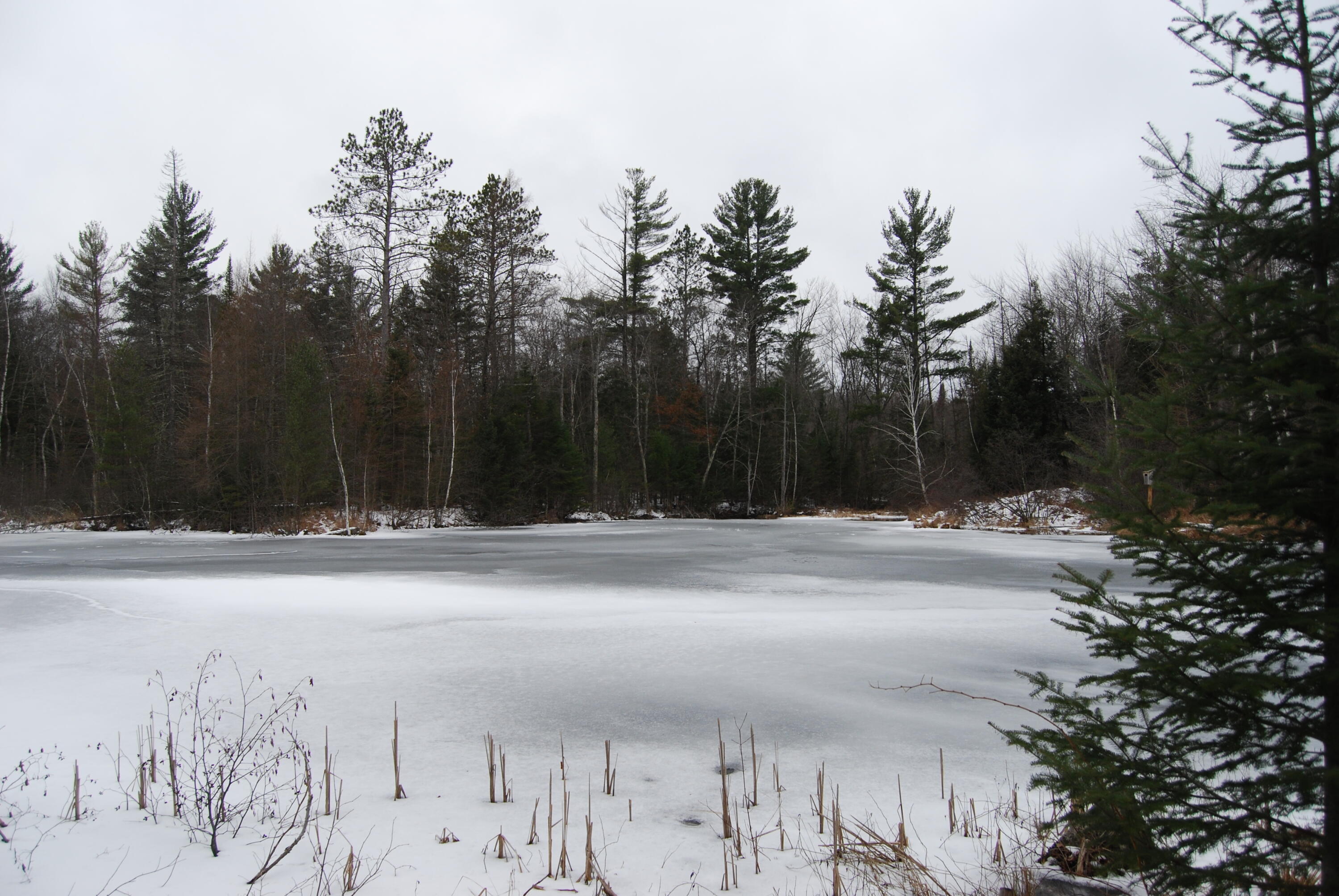 Wisconsin Lake Home for sale (MLS#: 1901559) at N11502  Nelson Rd, in Athelstane, Wisconsin. (76 of 77)