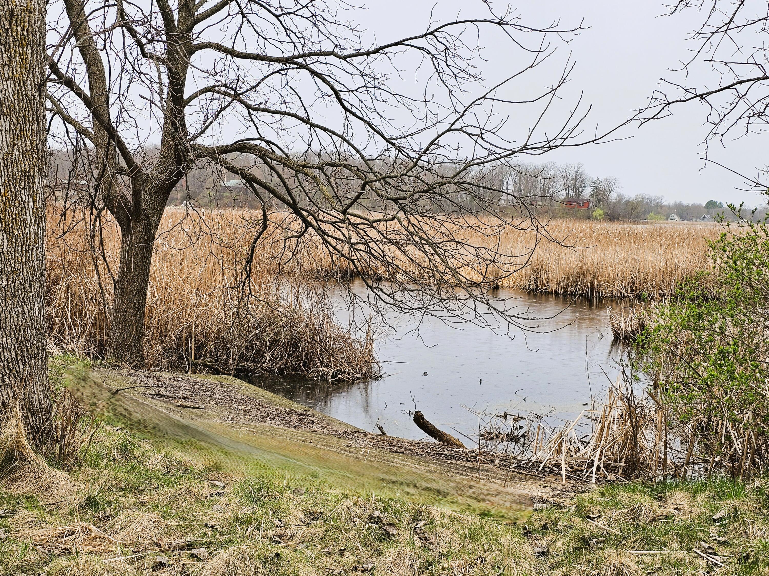 Wisconsin Lake Home for sale (MLS#: 1914839) at 1835 N Davies Dr, in Summit, Wisconsin. (5 of 32)