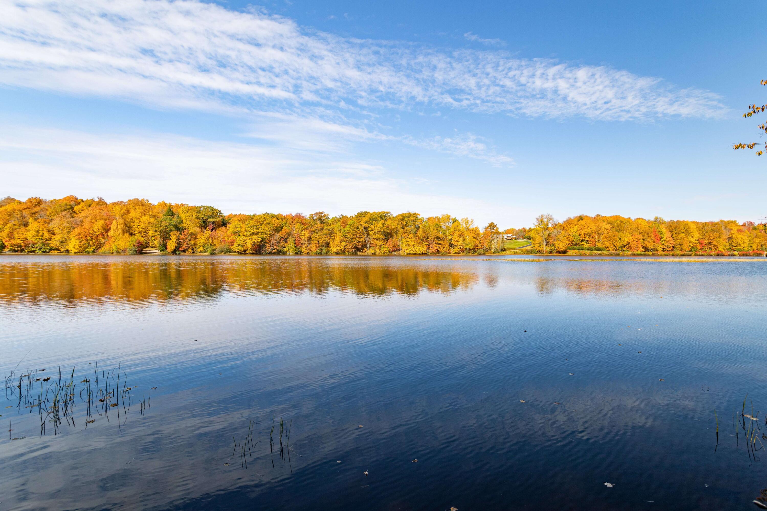 Wisconsin Lake Home for sale (MLS#: 1915168) at N5637  State Road 107 -, in Rock Falls, Wisconsin. (29 of 38)