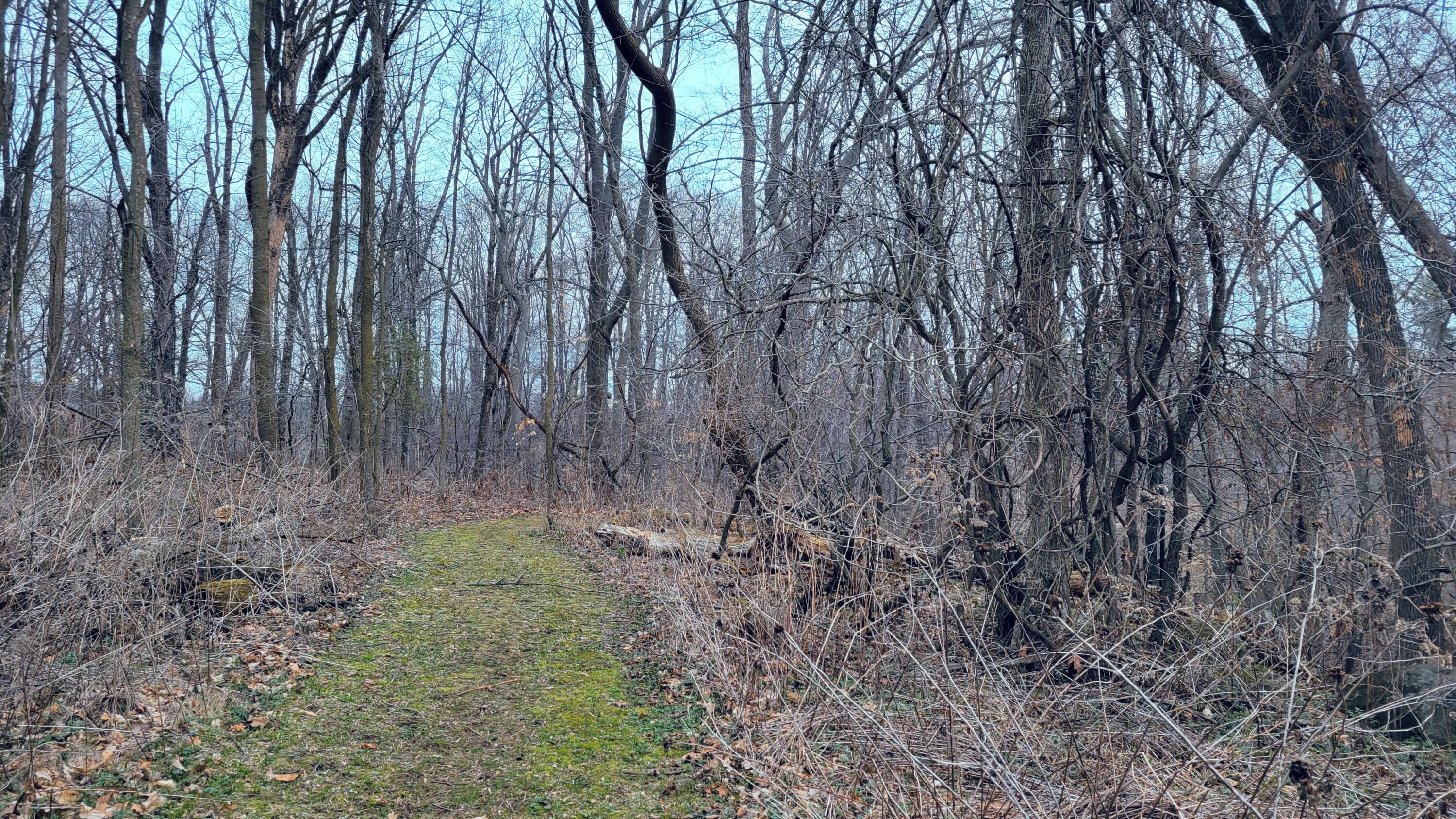 Wisconsin Lake Home for sale (MLS#: 1916133) at 3518  Silver Creek Rd, in Newton, Wisconsin. (5 of 44)