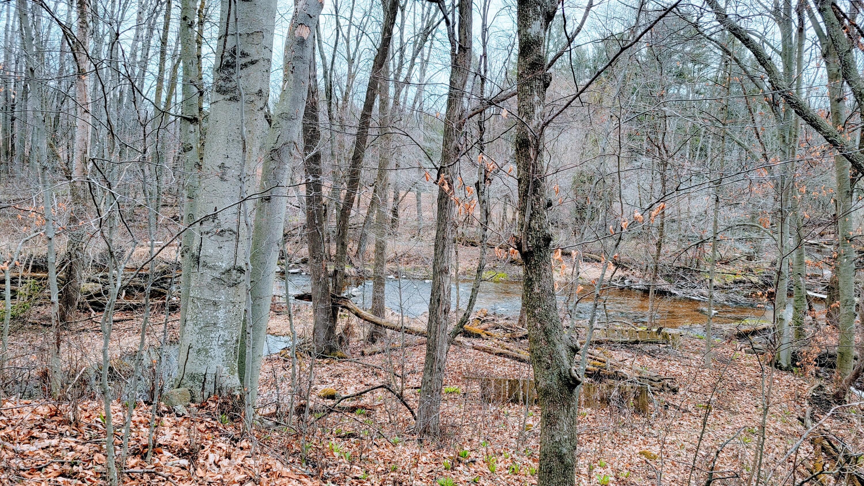 Wisconsin Lake Home for sale (MLS#: 1916133) at 3518  Silver Creek Rd, in Newton, Wisconsin. (6 of 44)
