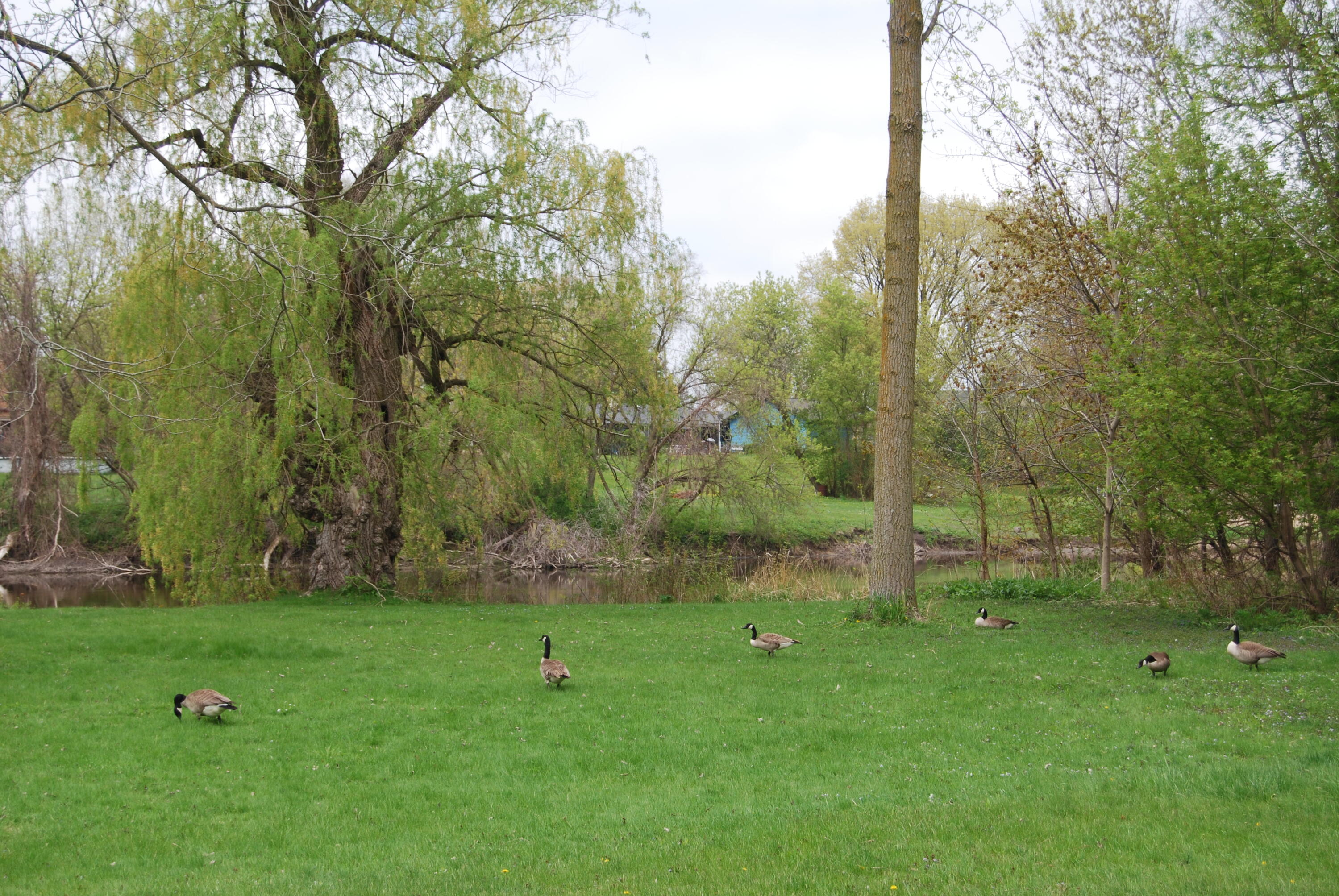 Wisconsin Lake Home for sale (MLS#: 1917853) at 3207  County Road W -, in Saukville, Wisconsin. (4 of 54)