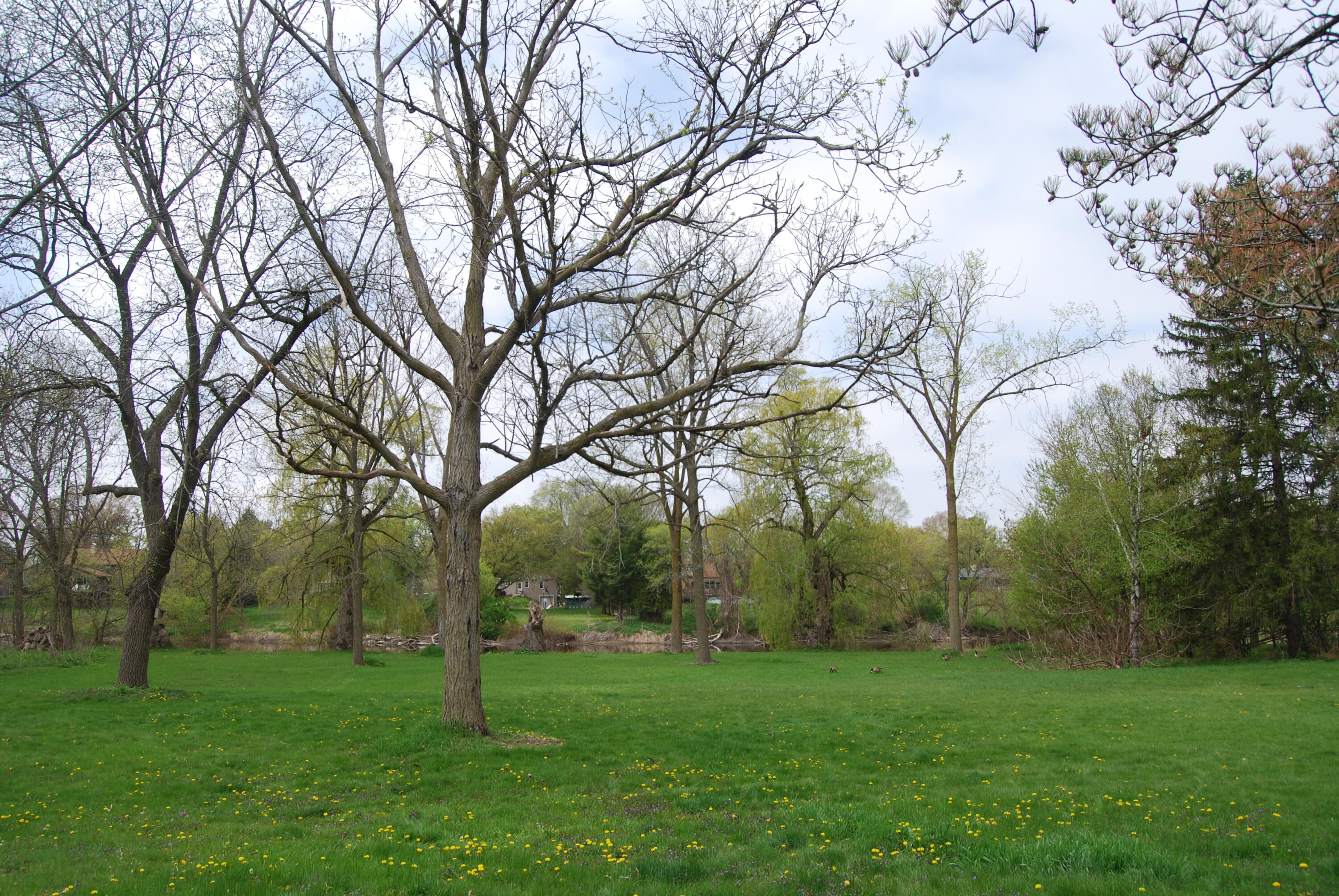Wisconsin Lake Home for sale (MLS#: 1917853) at 3207  County Road W -, in Saukville, Wisconsin. (38 of 54)