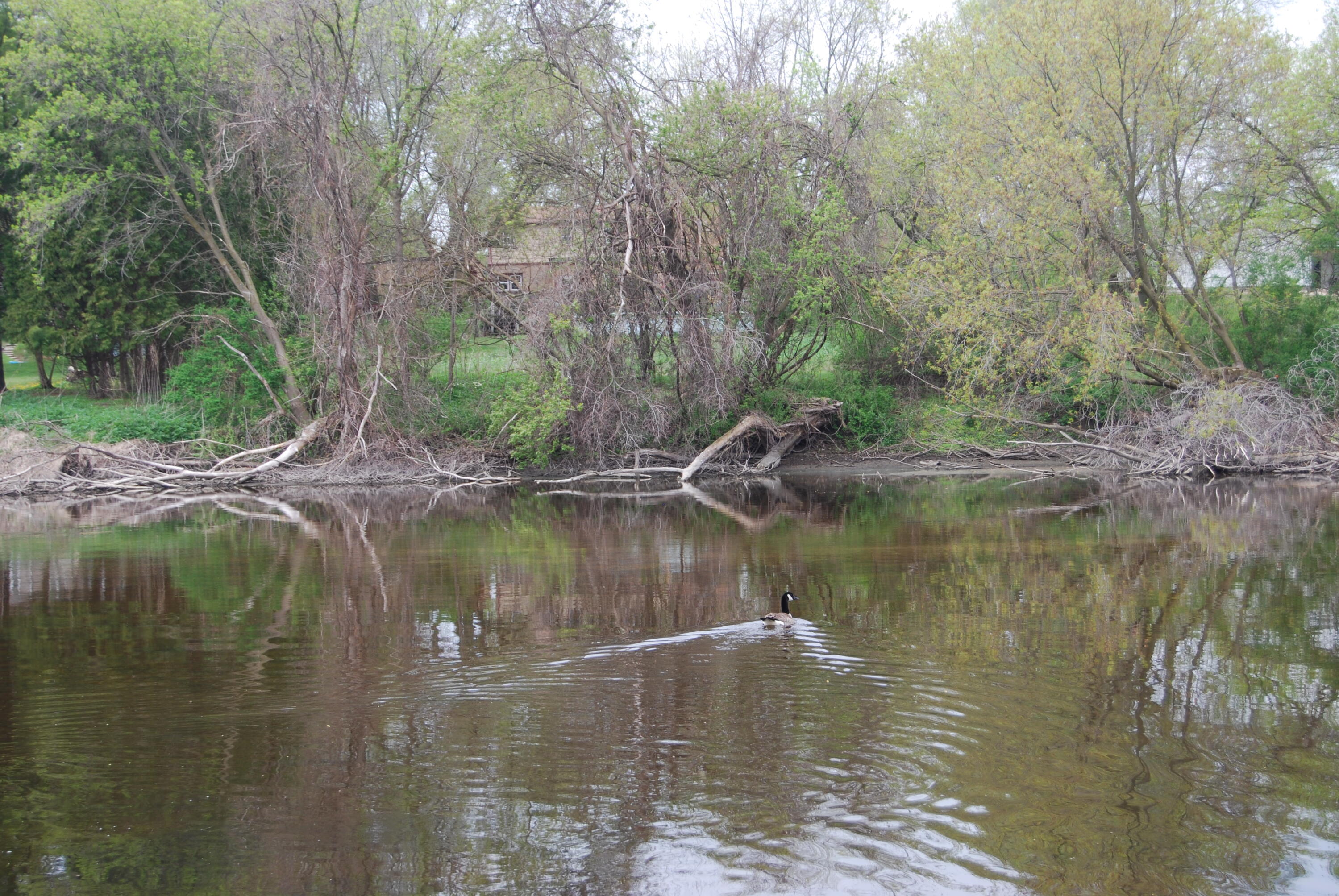 Wisconsin Lake Home for sale (MLS#: 1917853) at 3207  County Road W -, in Saukville, Wisconsin. (39 of 54)
