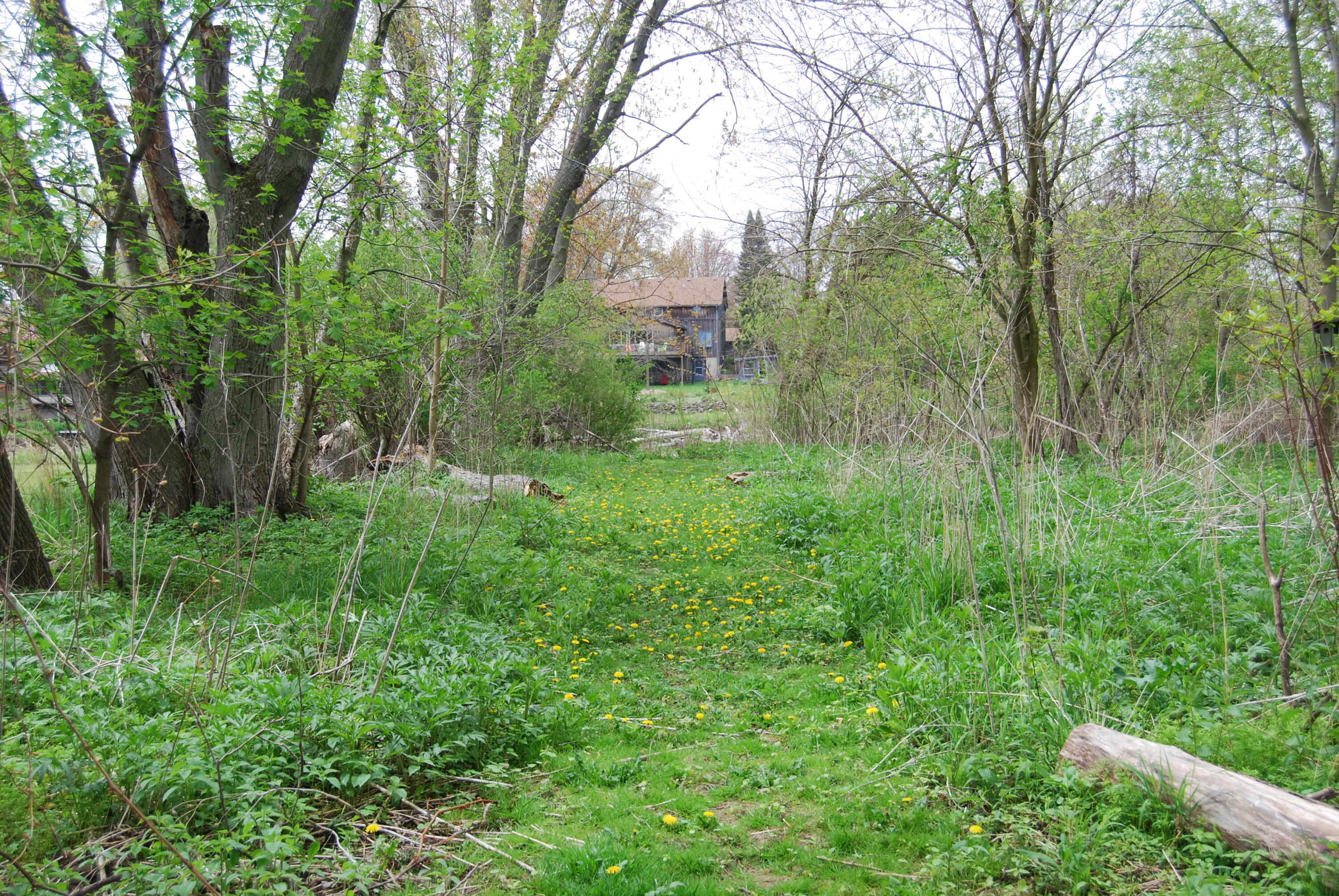Wisconsin Lake Home for sale (MLS#: 1917853) at 3207  County Road W -, in Saukville, Wisconsin. (44 of 54)