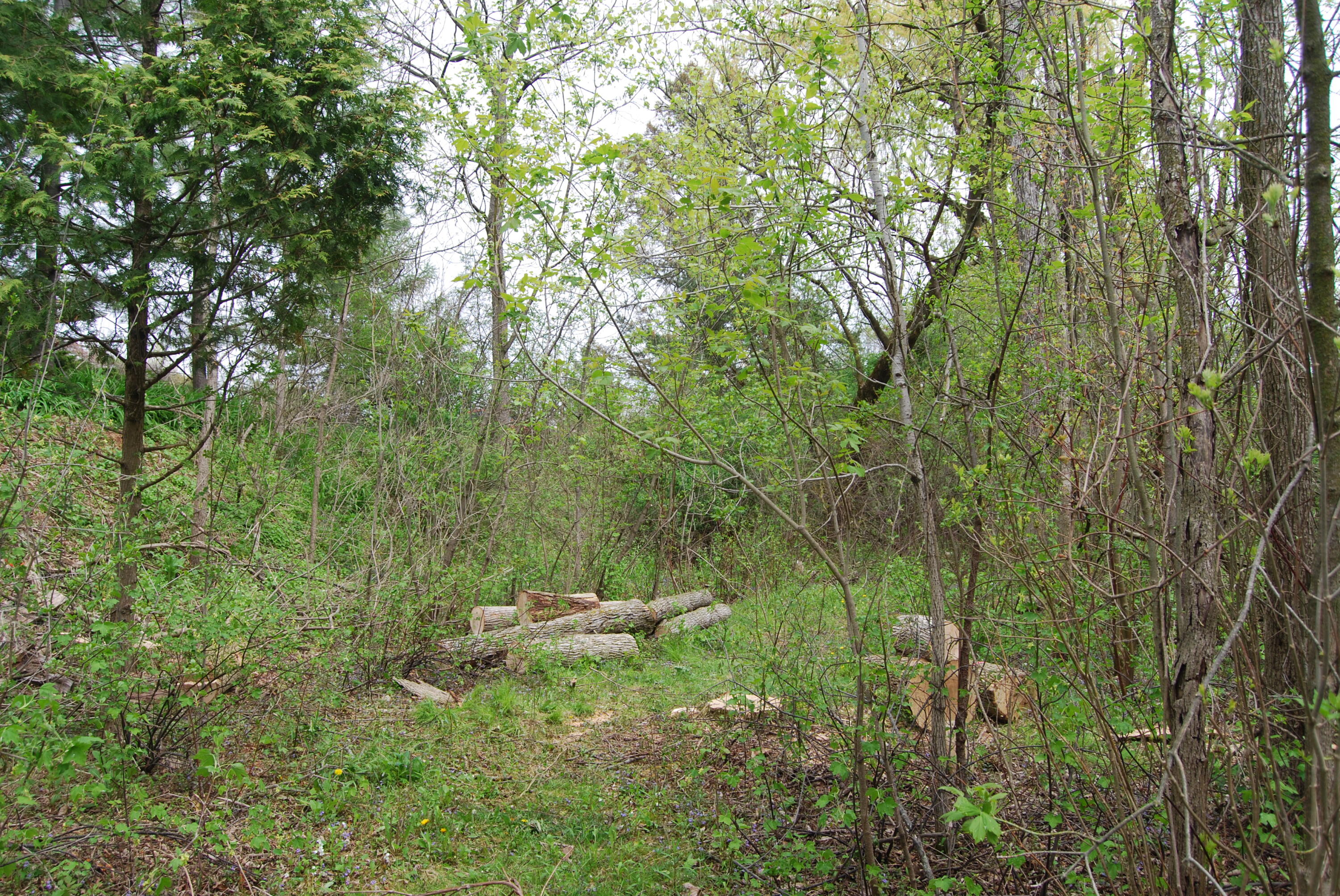 Wisconsin Lake Home for sale (MLS#: 1917853) at 3207  County Road W -, in Saukville, Wisconsin. (48 of 54)