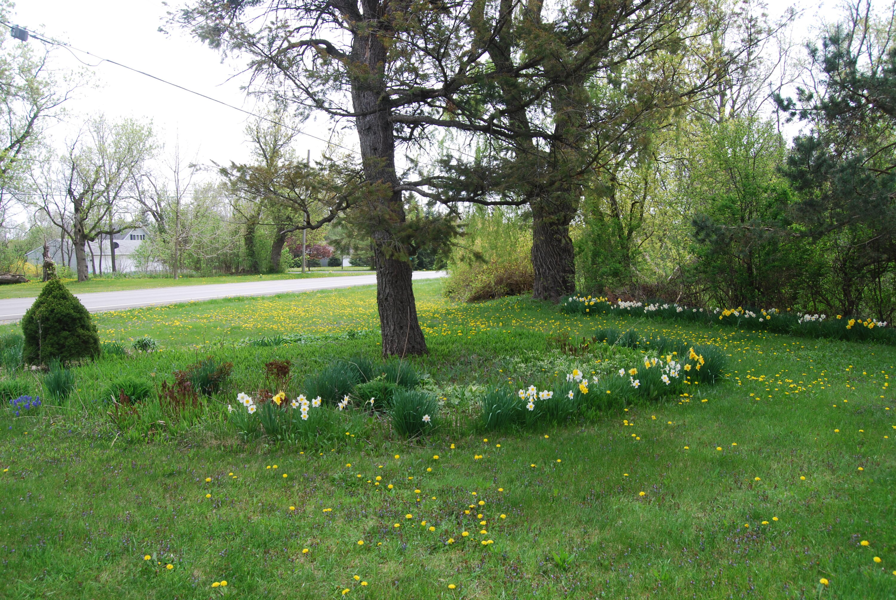 Wisconsin Lake Home for sale (MLS#: 1917853) at 3207  County Road W -, in Saukville, Wisconsin. (54 of 54)