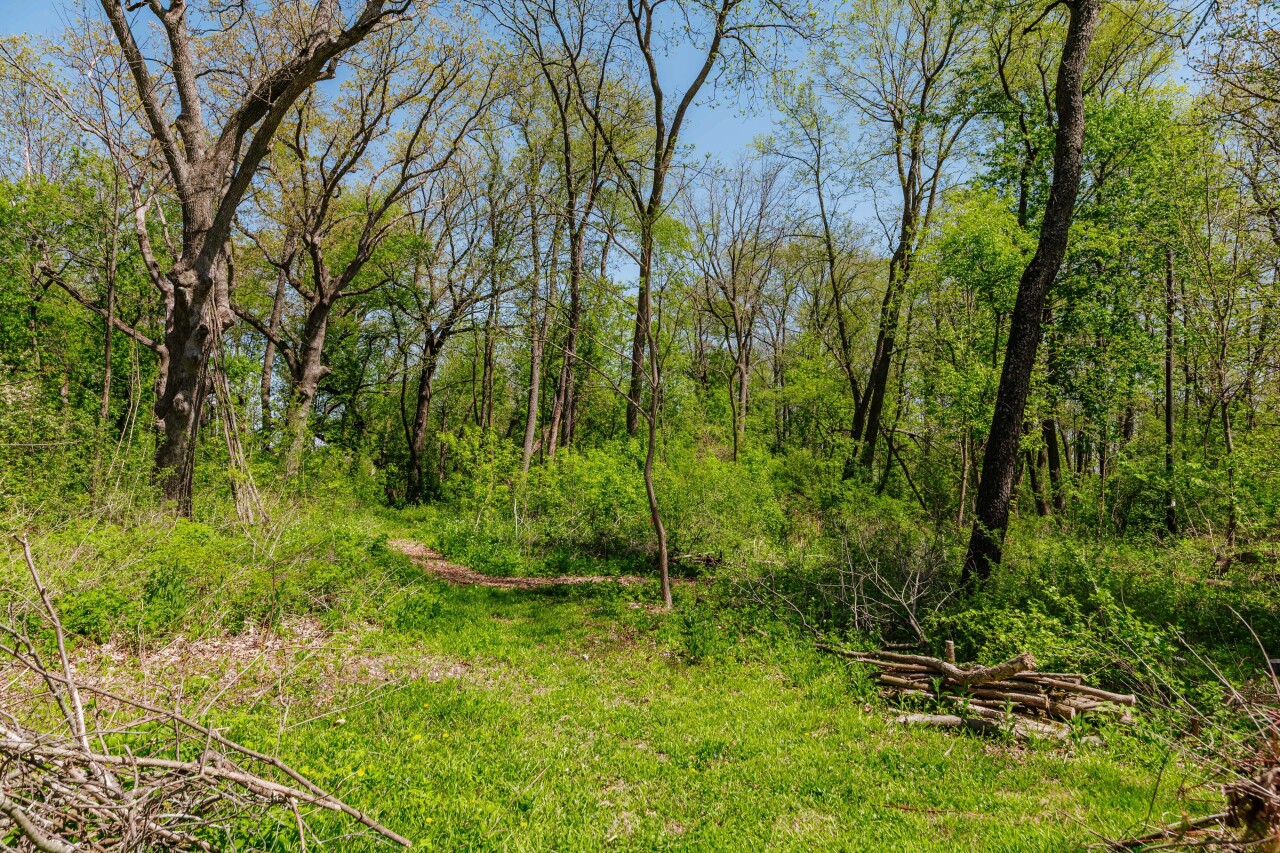 Wisconsin Lake Home for sale (MLS#: 1918951) at W6641 N Lakeshore Dr, in Sugar Creek, Wisconsin. (41 of 47)