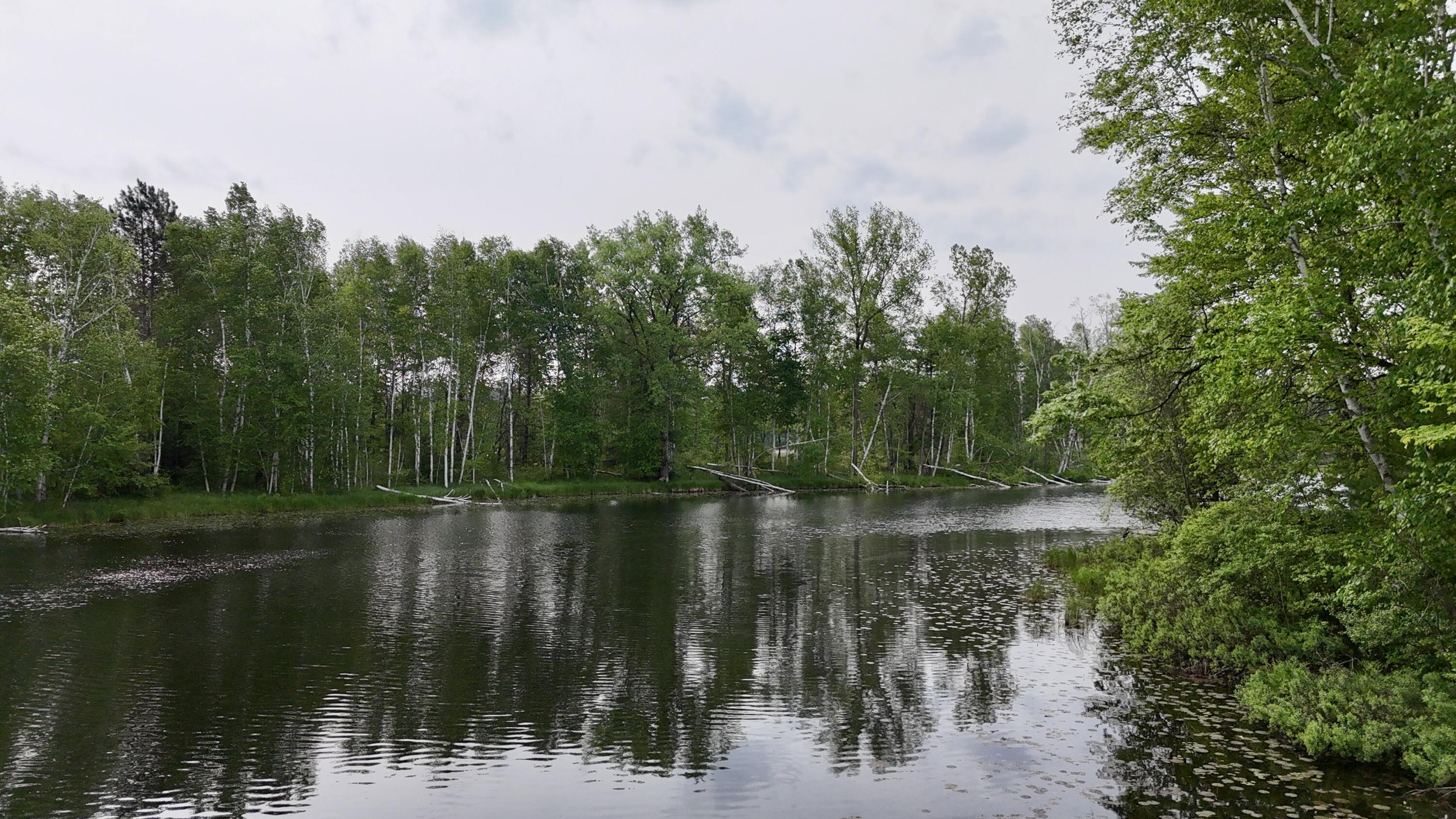 Wisconsin Lake Home for sale (MLS#: 1920992) at N1610  Spirit Ridge Rd, in Menominee, Wisconsin. (70 of 82)