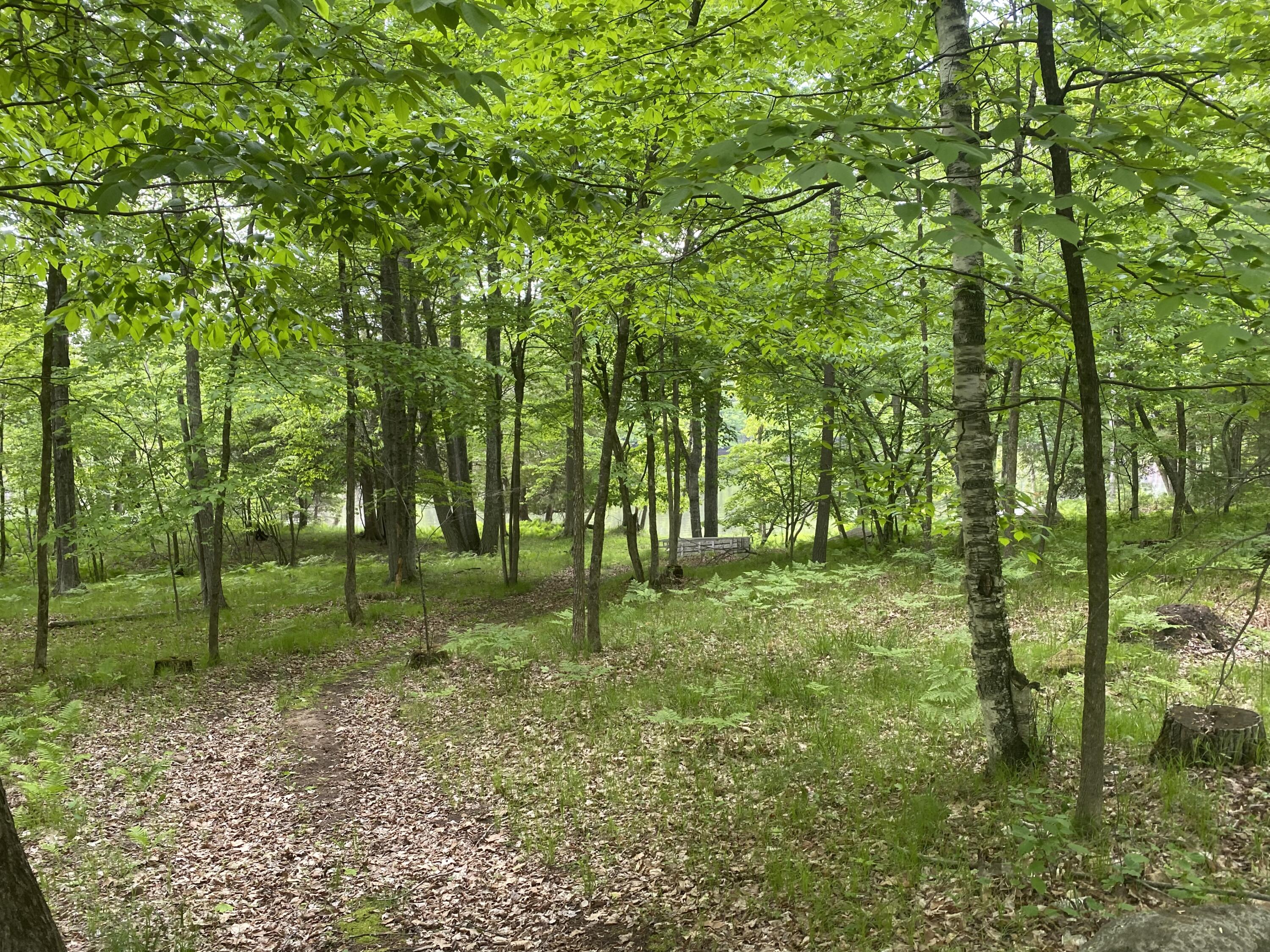 Wisconsin Lake Home for sale (MLS#: 1921292) at N11831  Menominee Shores Dr, in Wagner, Wisconsin. (37 of 50)