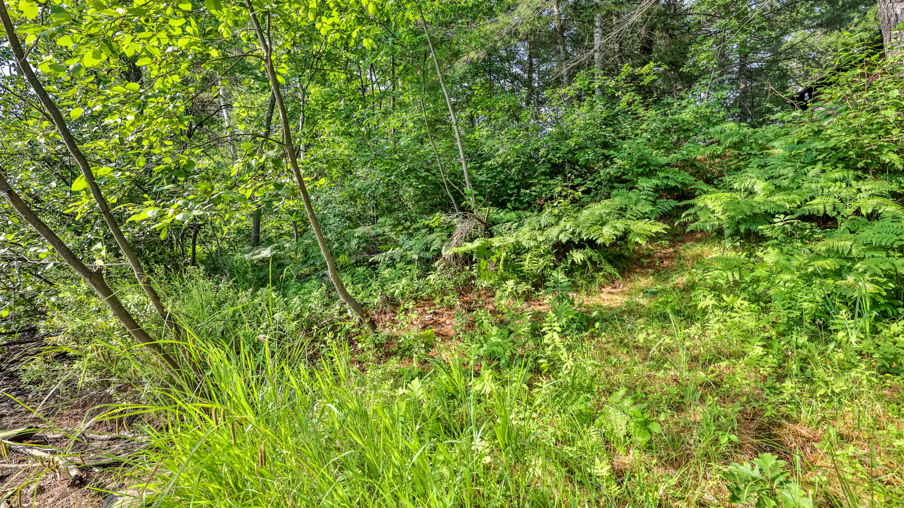Wisconsin Lake Home for sale (MLS#: 1926602) at 7006 W Rapids Rd, in Lake Tomahawk, Wisconsin. (24 of 28)