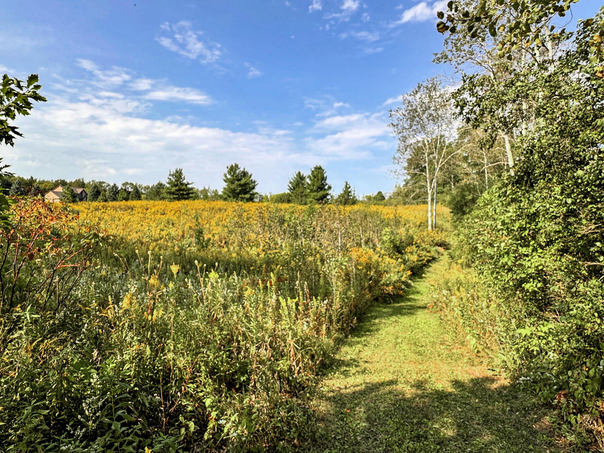 Wisconsin Lake Home for sale (MLS#: 1927377) at W1969  Itsa Little Rd, in East Troy, Wisconsin. (72 of 84)