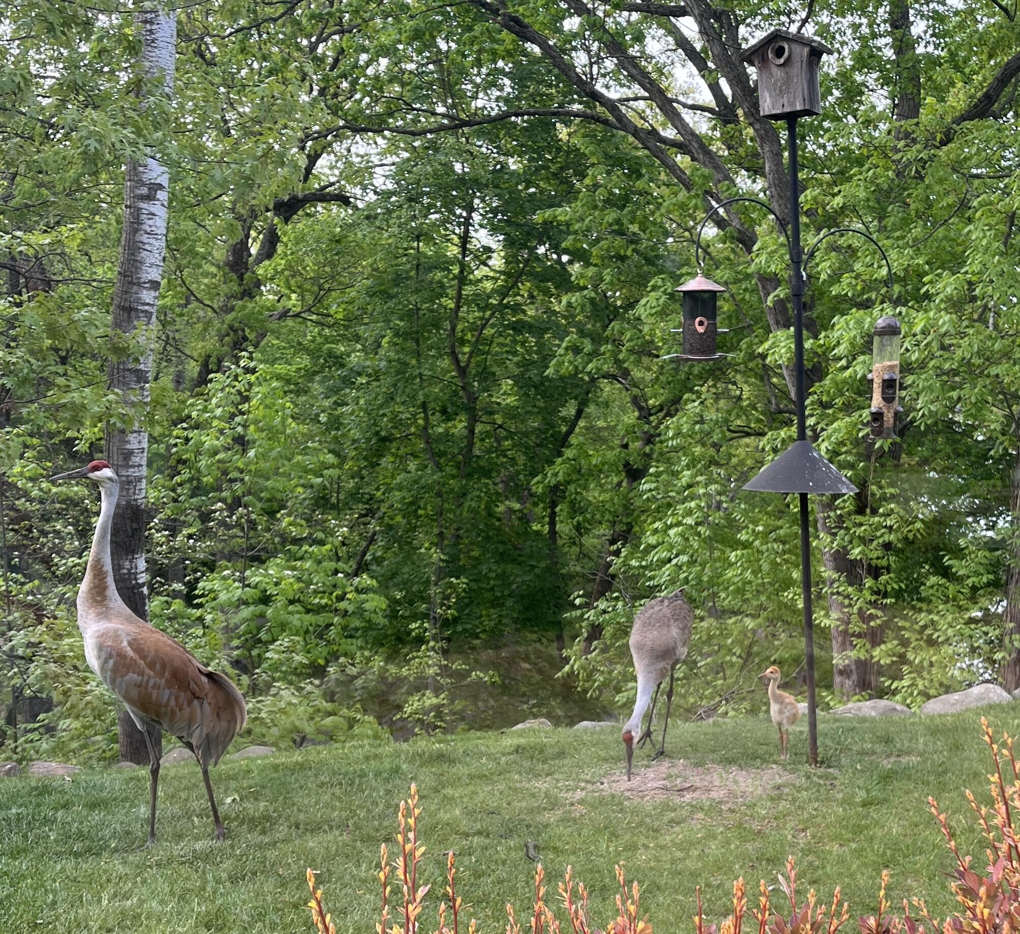 Wisconsin Lake Home for sale (MLS#: 1927377) at W1969  Itsa Little Rd, in East Troy, Wisconsin. (73 of 84)