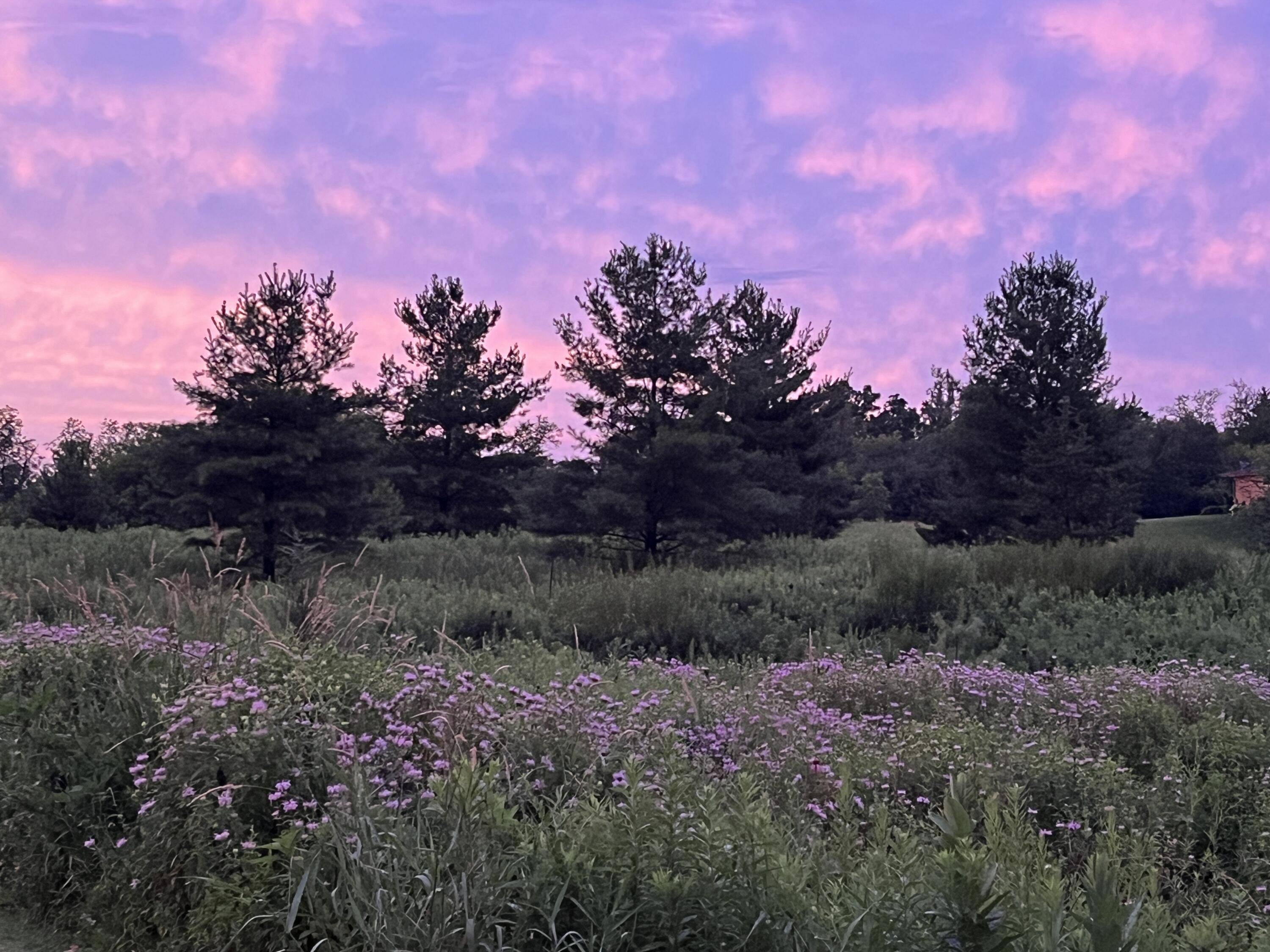Wisconsin Lake Home for sale (MLS#: 1927377) at W1969  Itsa Little Rd, in East Troy, Wisconsin. (82 of 84)