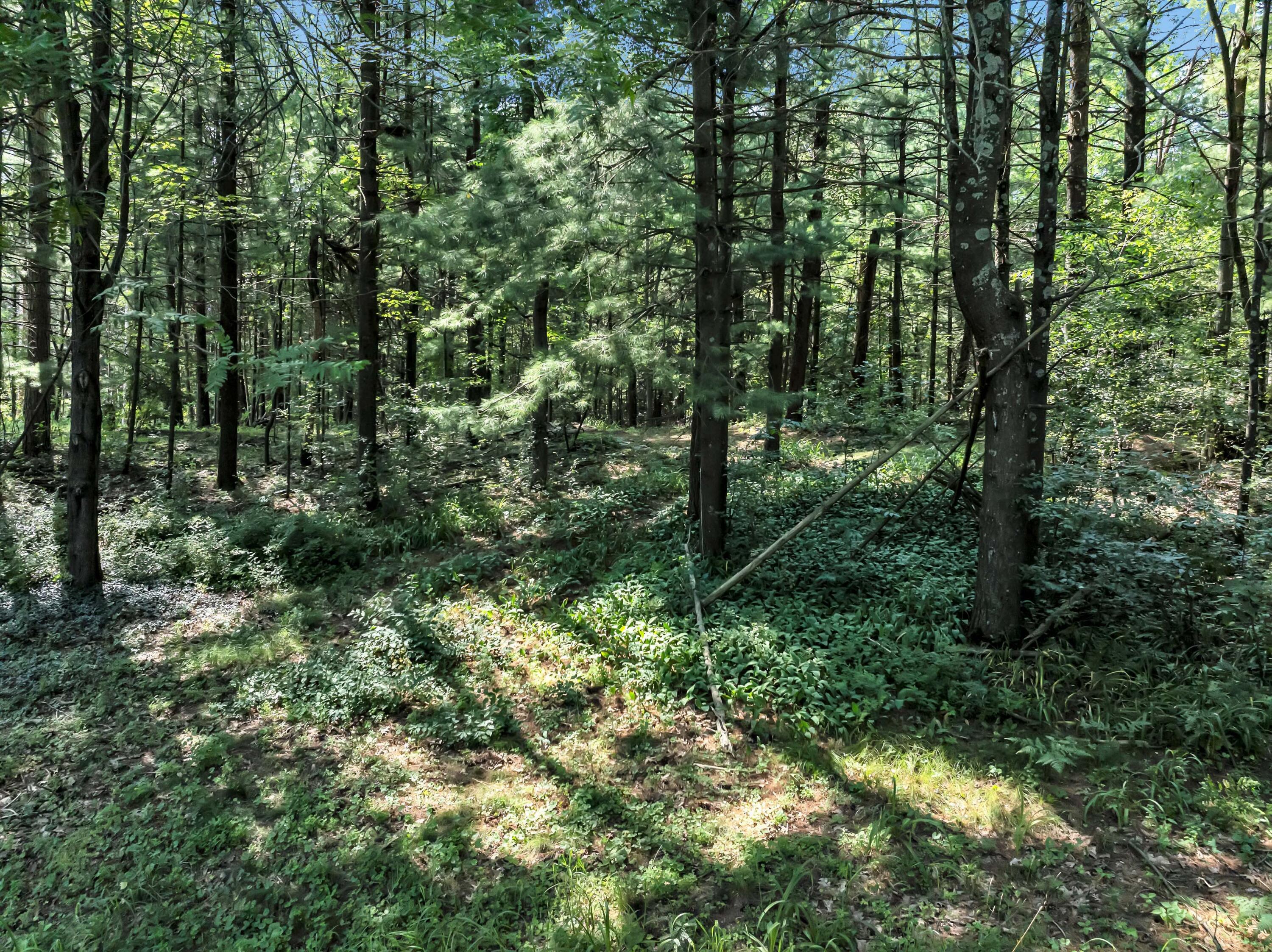 Wisconsin Lake Home for sale (MLS#: 1929155) at N1835  Cree Ave, in Marion, Wisconsin. (26 of 26)