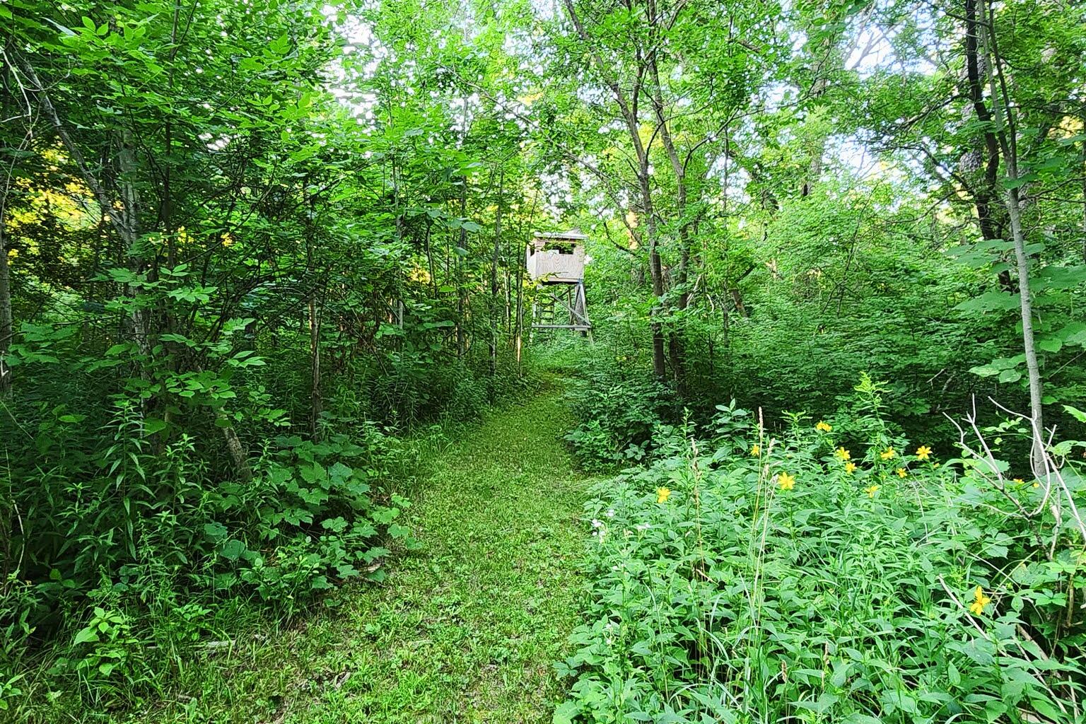 Wisconsin Lake Home for sale (MLS#: 1929441) at W6352  County Road A -, in Sherman, Wisconsin. (36 of 54)