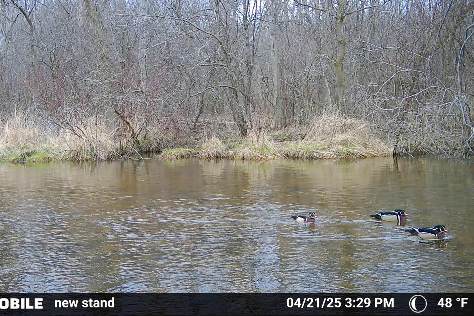 Wisconsin Lake Home for sale (MLS#: 1929441) at W6352  County Road A -, in Sherman, Wisconsin. (41 of 54)