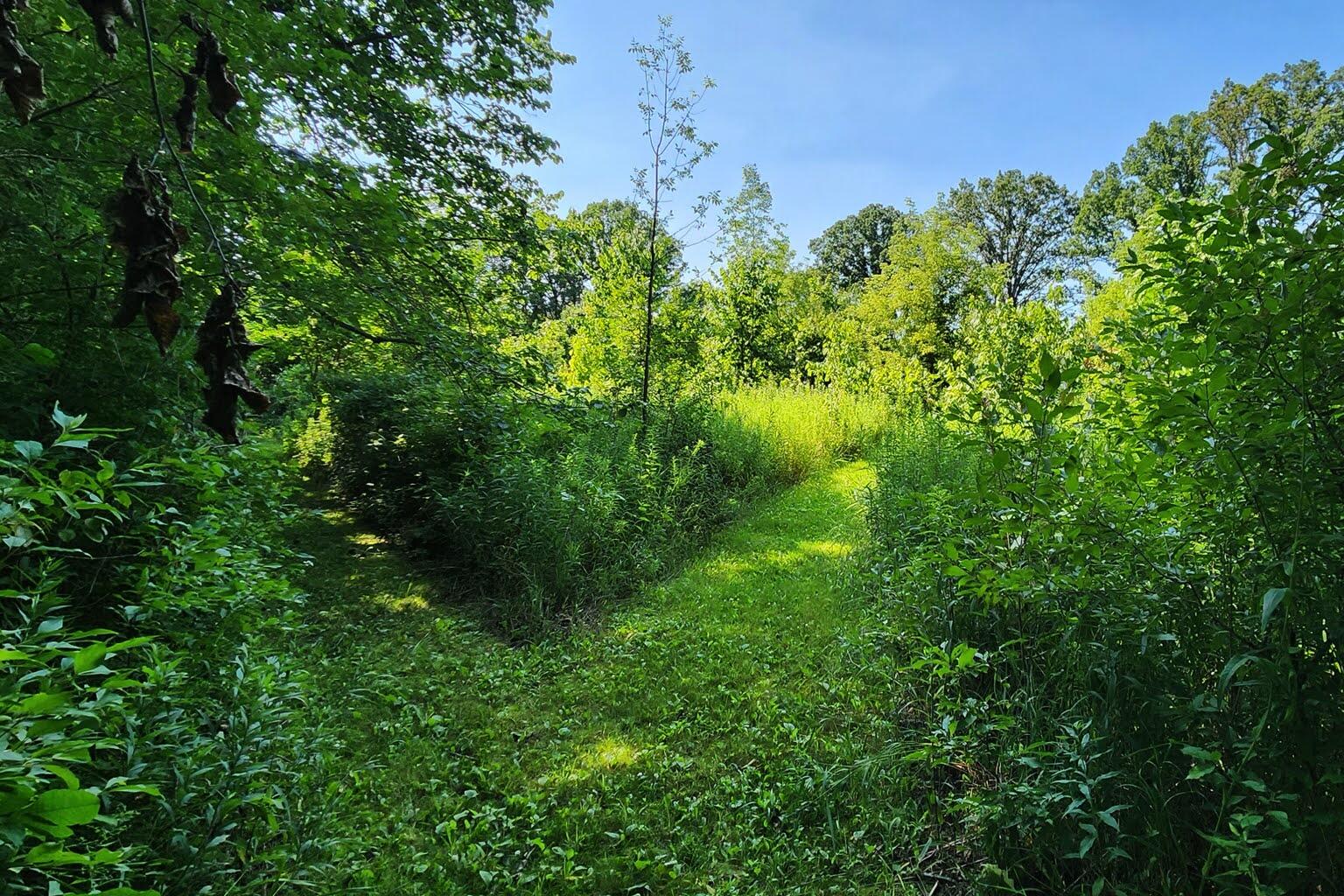 Wisconsin Lake Home for sale (MLS#: 1929441) at W6352  County Road A -, in Sherman, Wisconsin. (47 of 54)